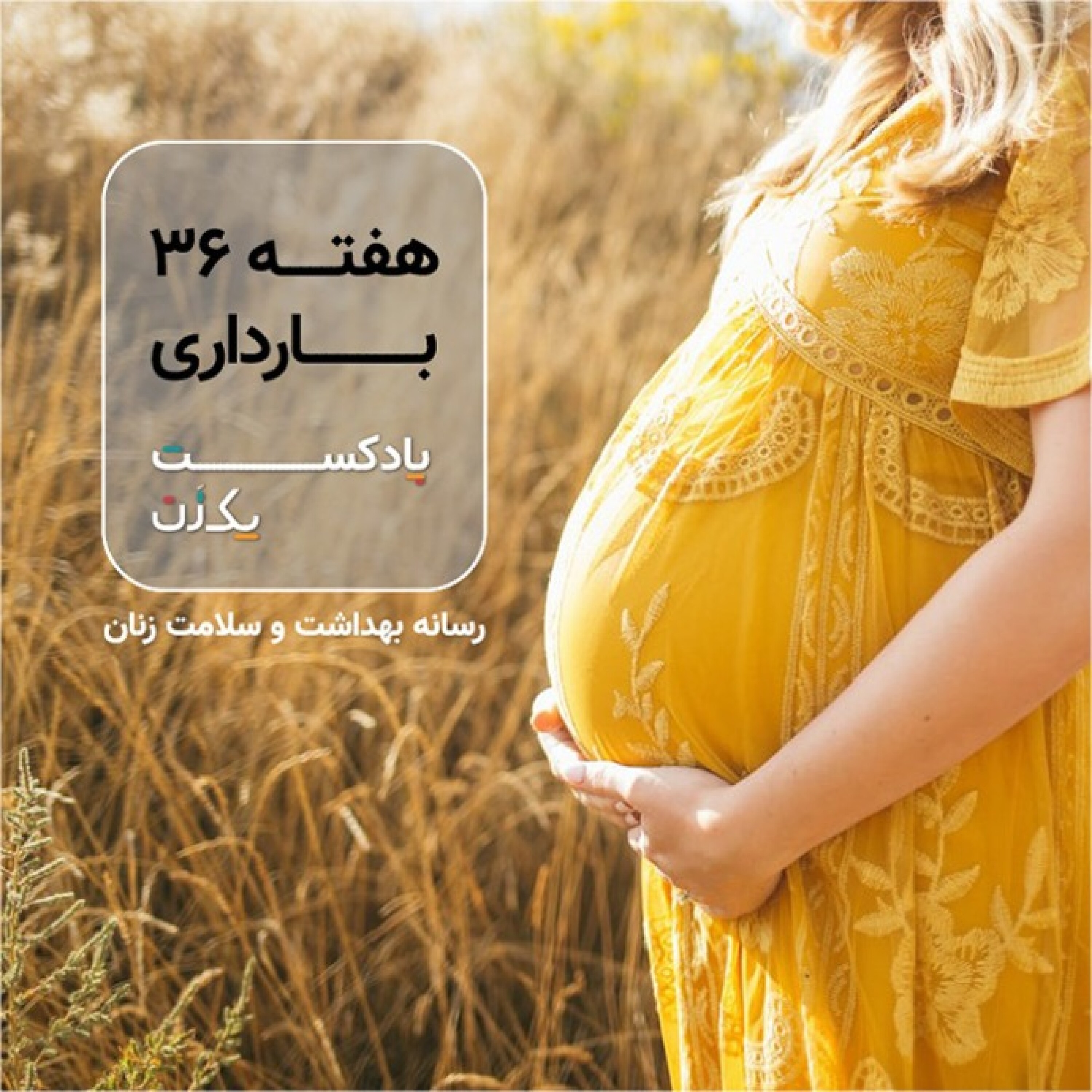 پادکست یک زن - هفته سی و ششم بارداری