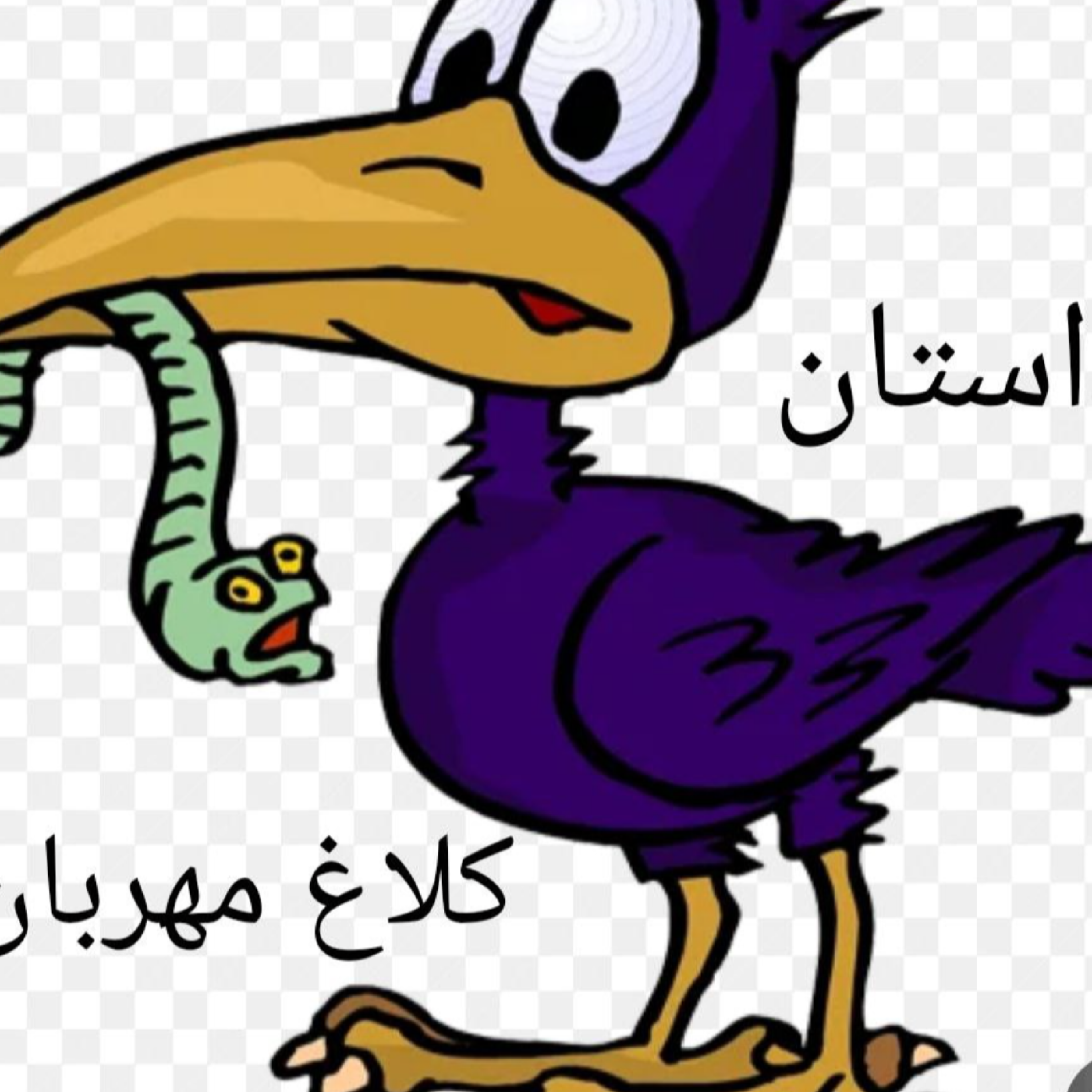 کاور کلاغ مهربان