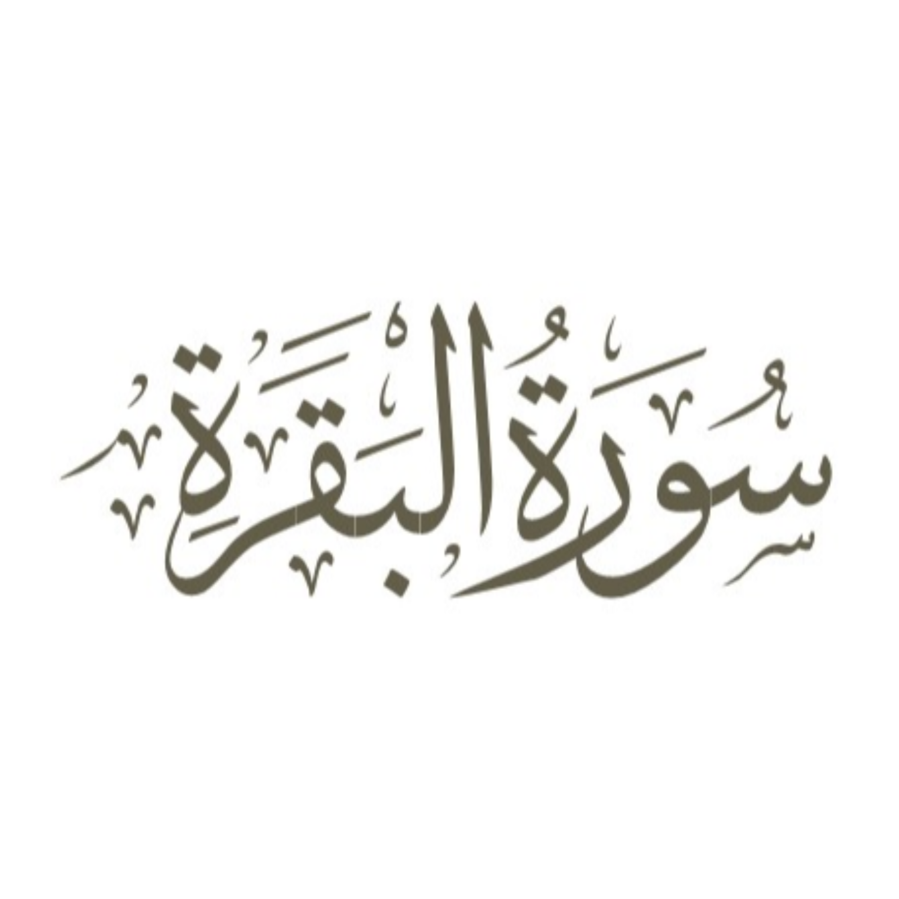 کاور قسمت 15: آیه 13 (سفیه) و 14 (شیطان) و 15 (یمدهم) سوره بقره