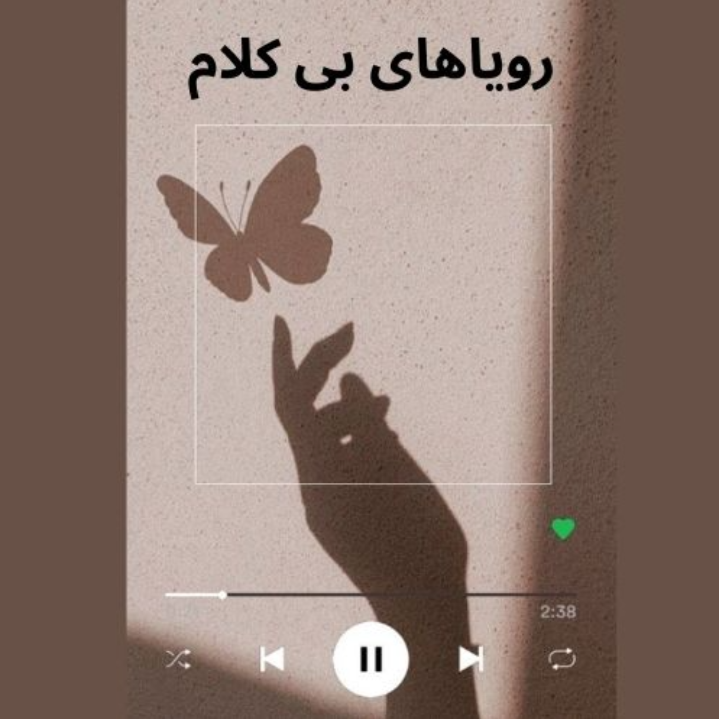 کاور Palestinian soul