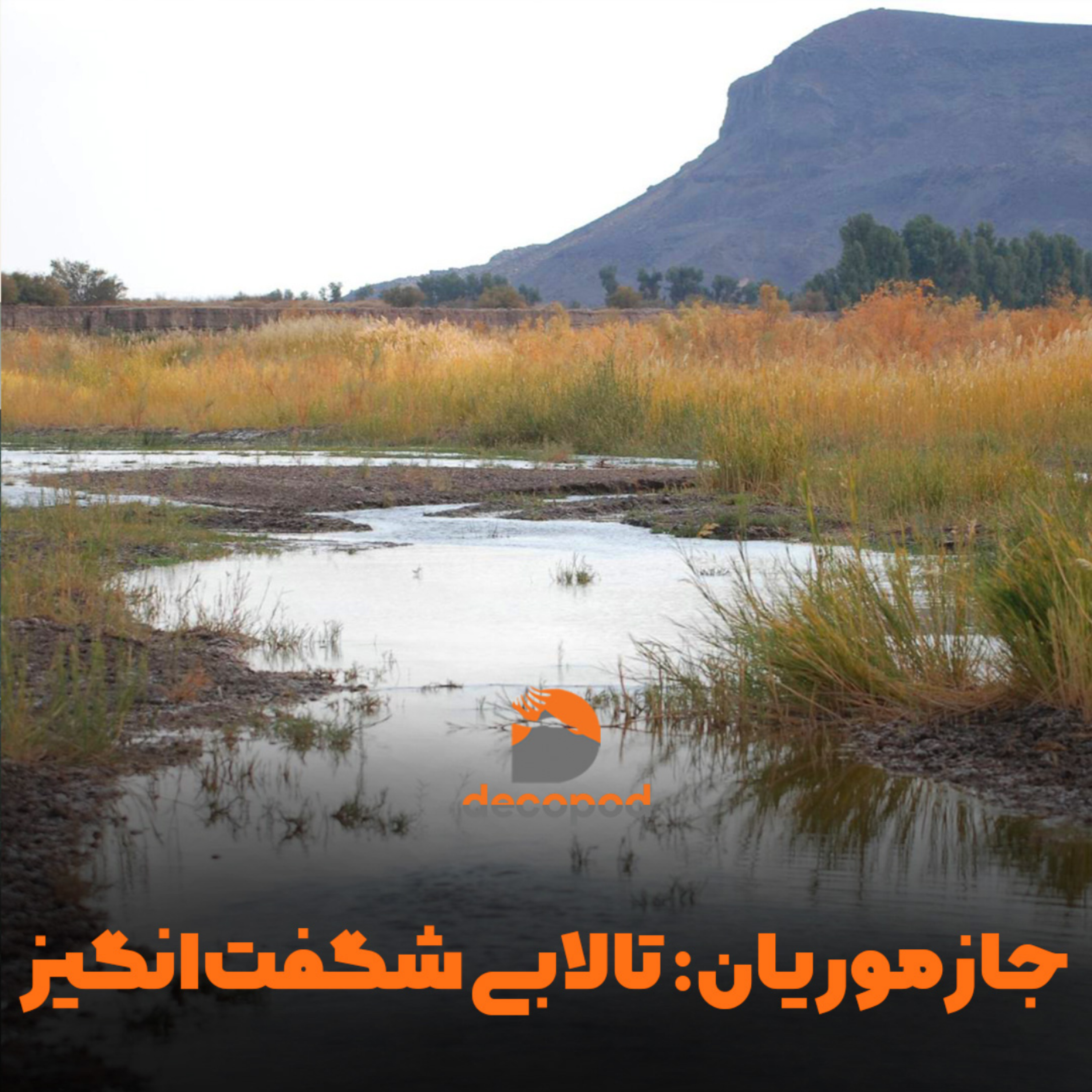 کاور جازموریان: تالاب شگفت انگیز
