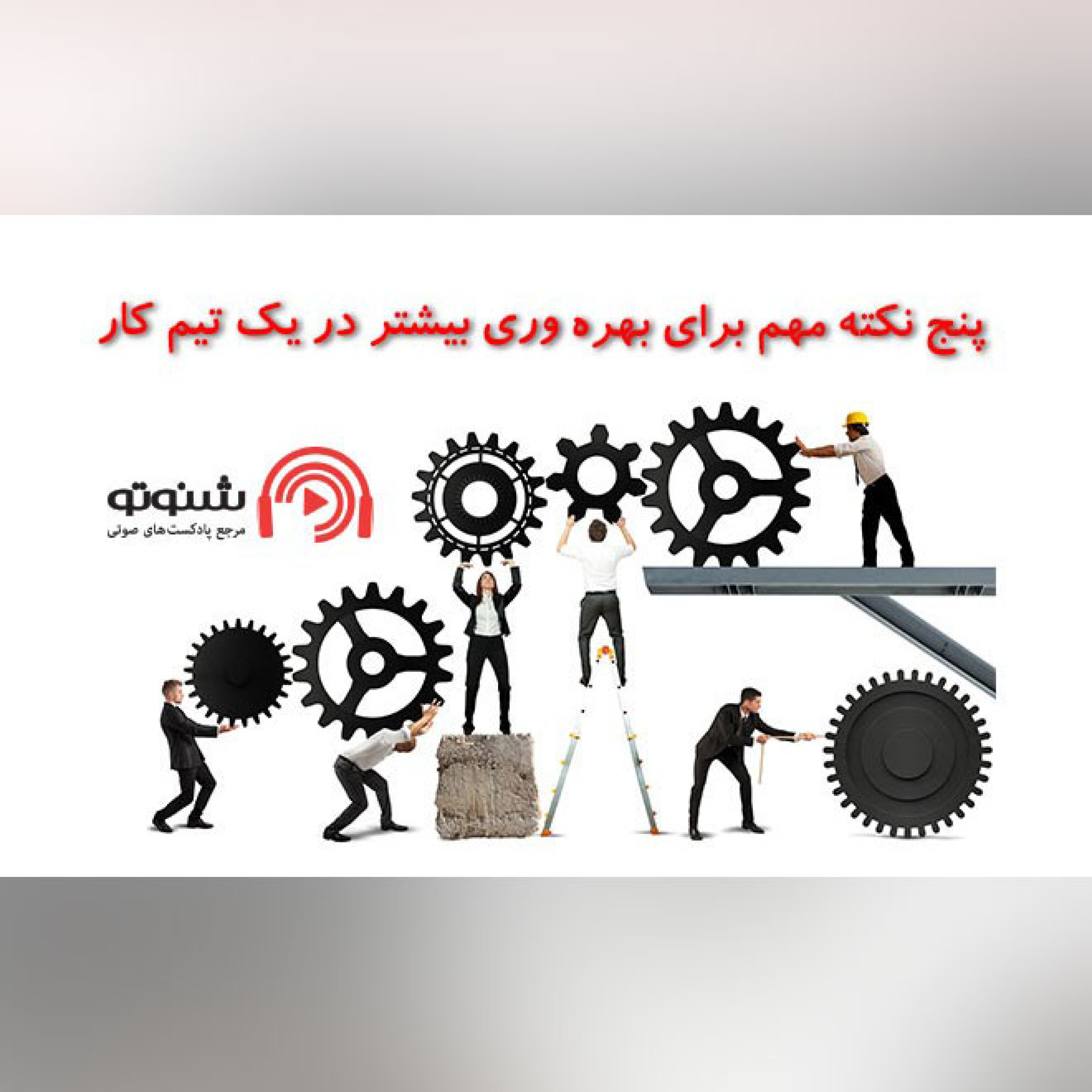 کاور 5 نکته مهم برای بهره وری بیشتر در یک تیم کاری