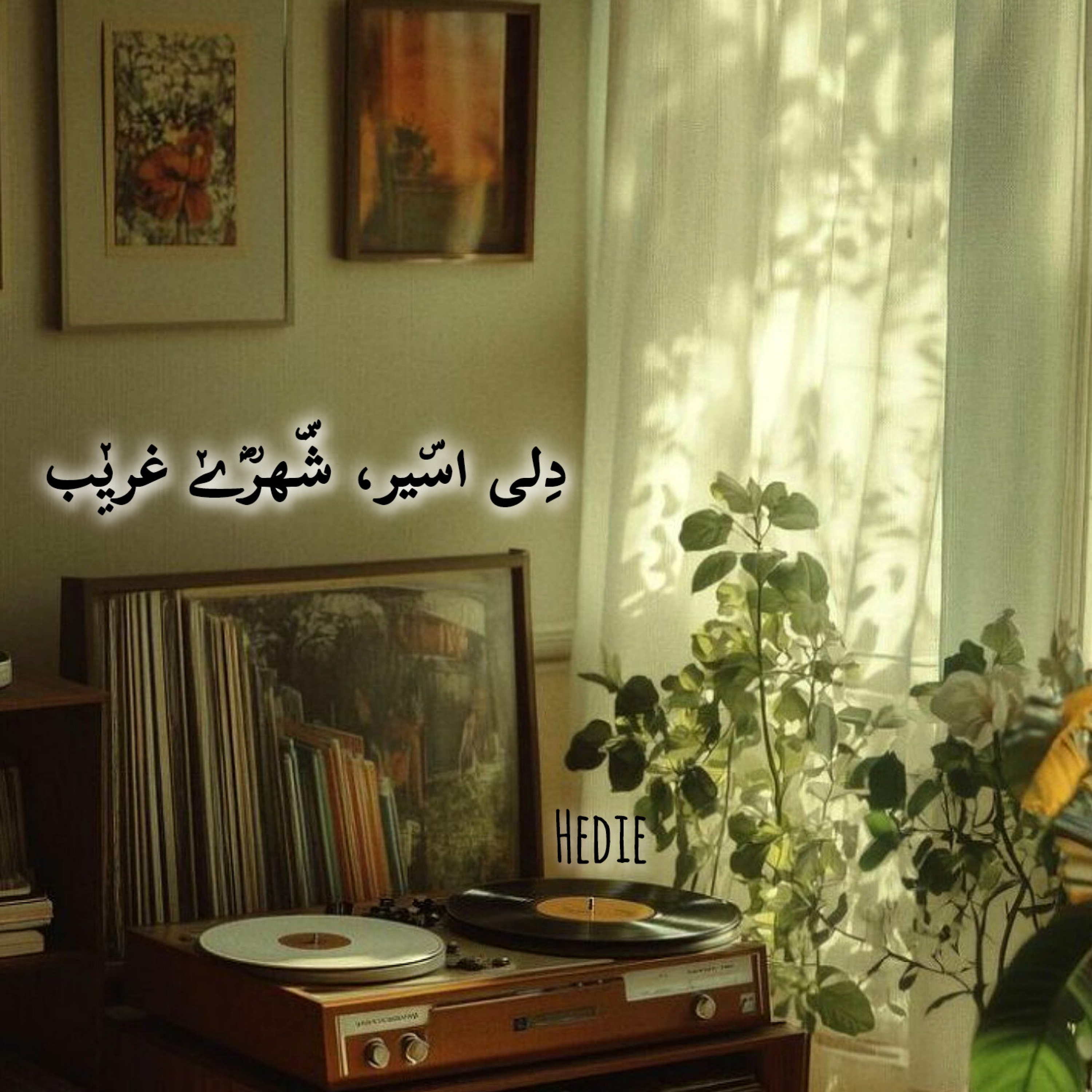 کاور دِلی اسیر، شهری غریب