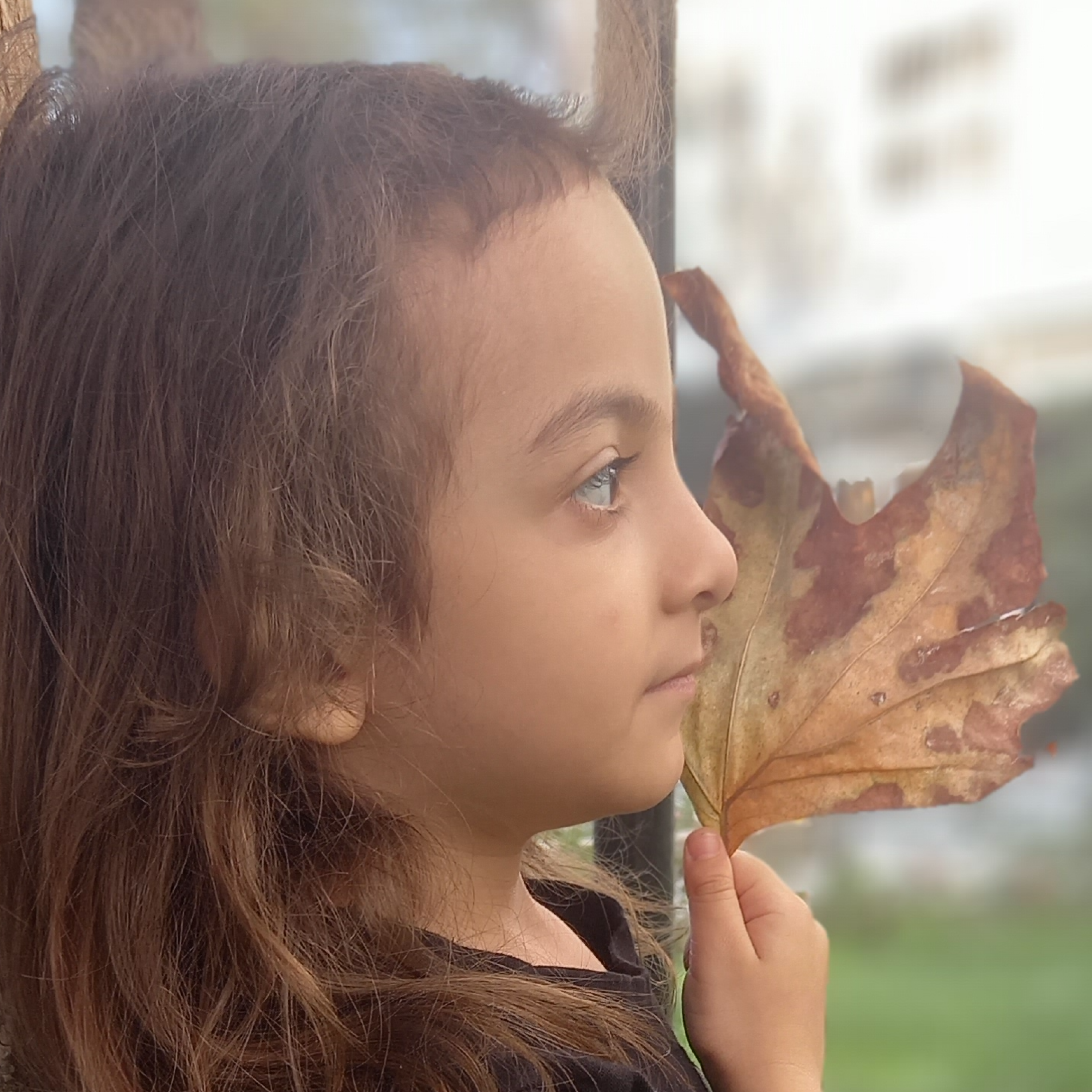 کاور اولاف ماهور