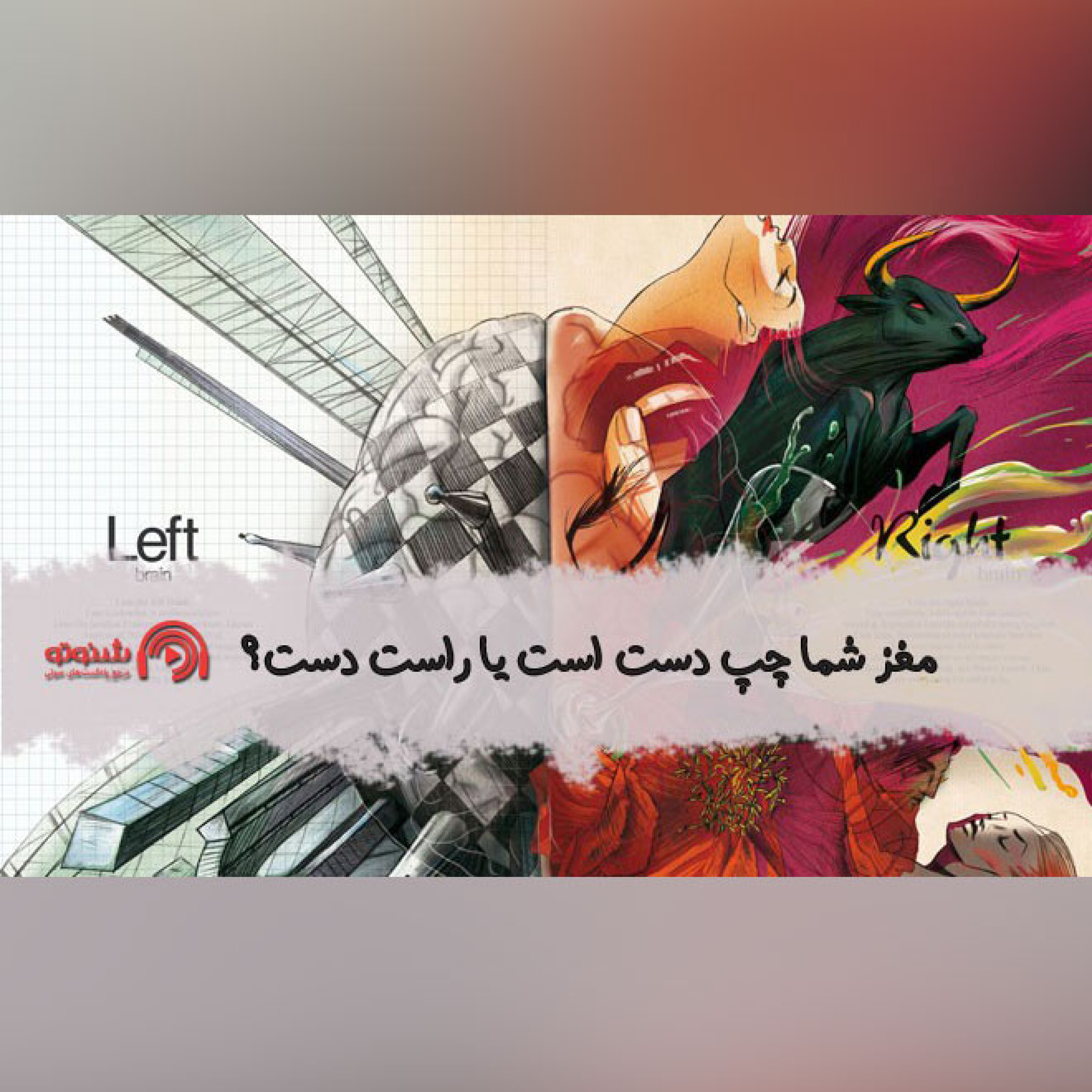 کاور مغز شما چپ دست است یا راست دست؟