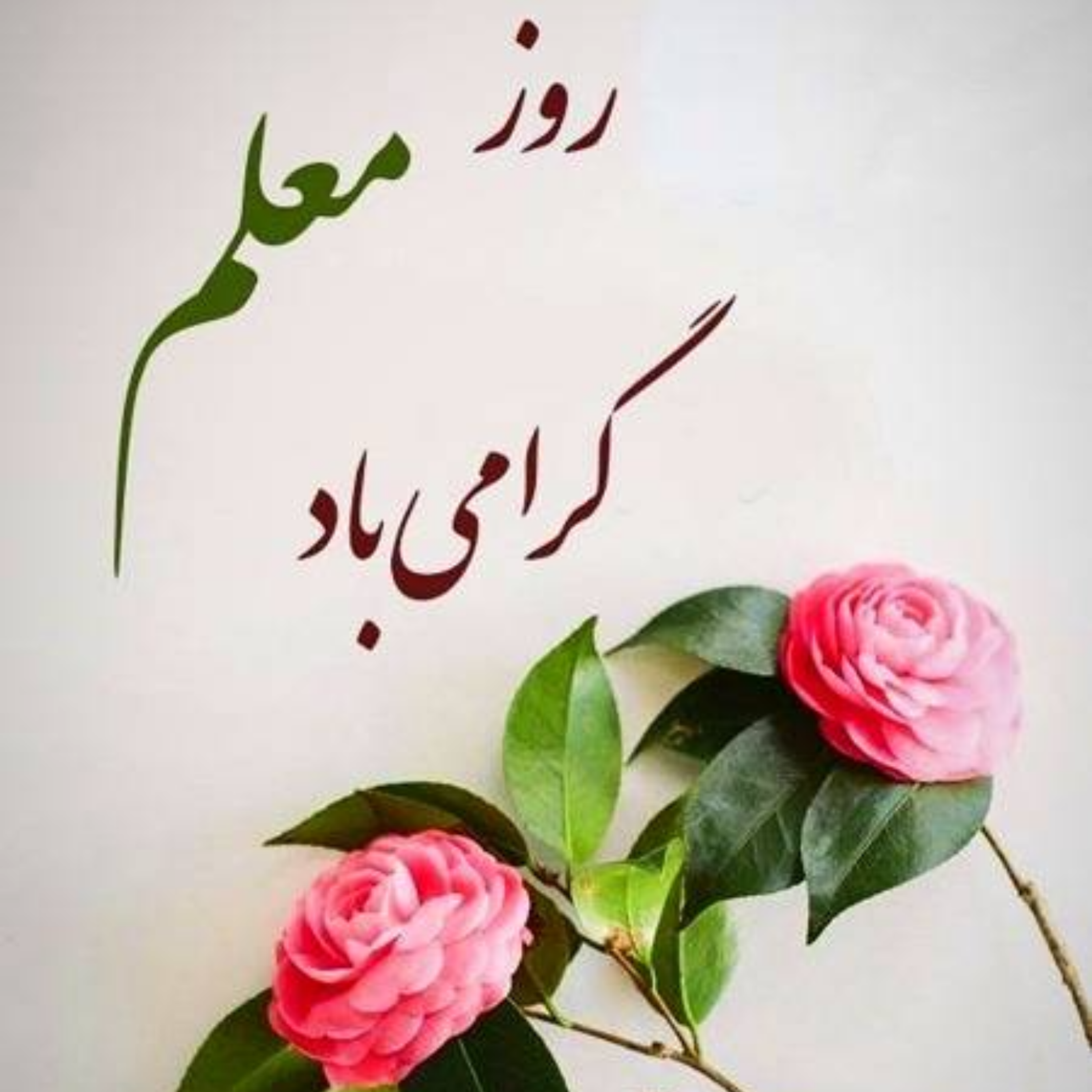 کاور روز معلم