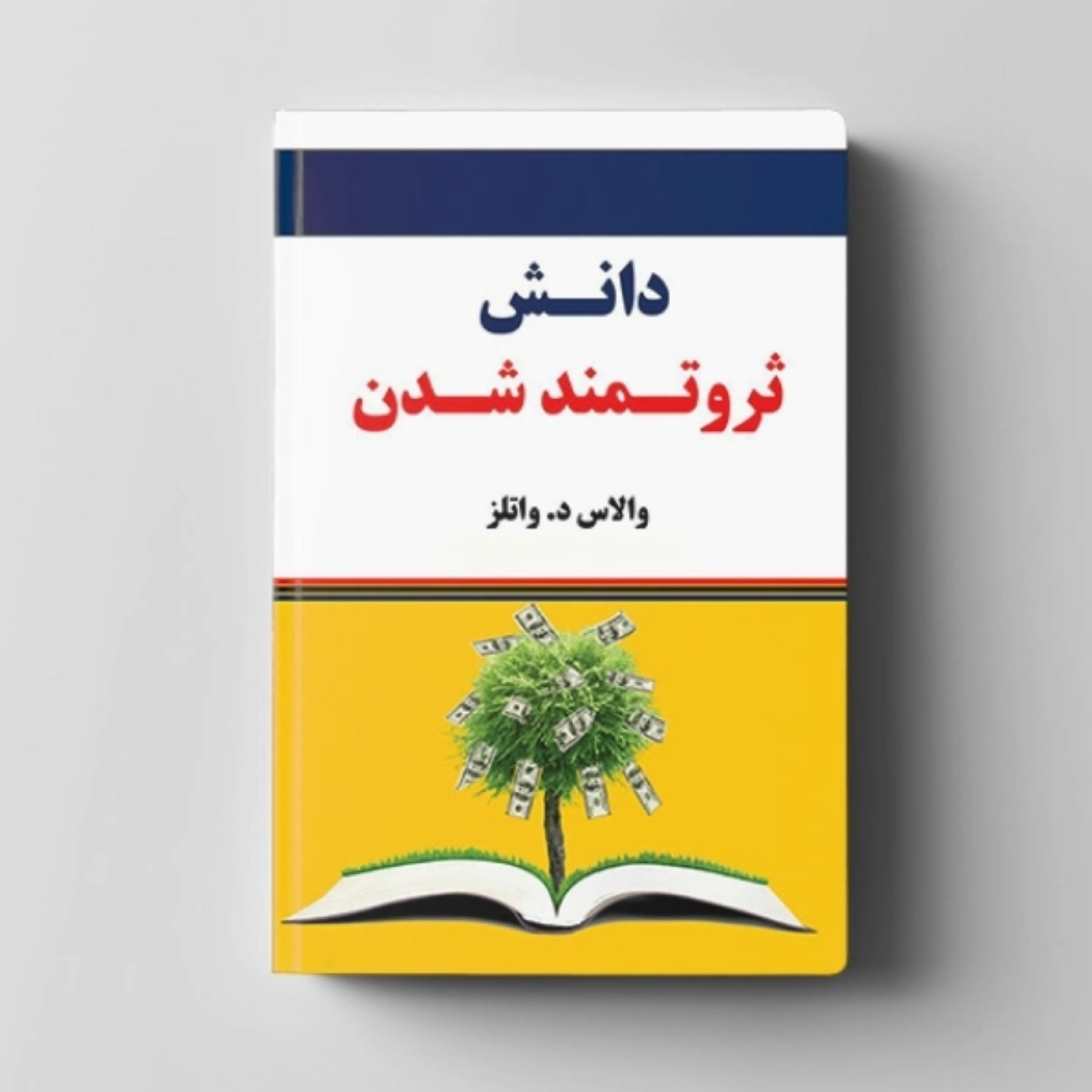 کاور کتاب دانش ثروتمند شدن (خلاصه)