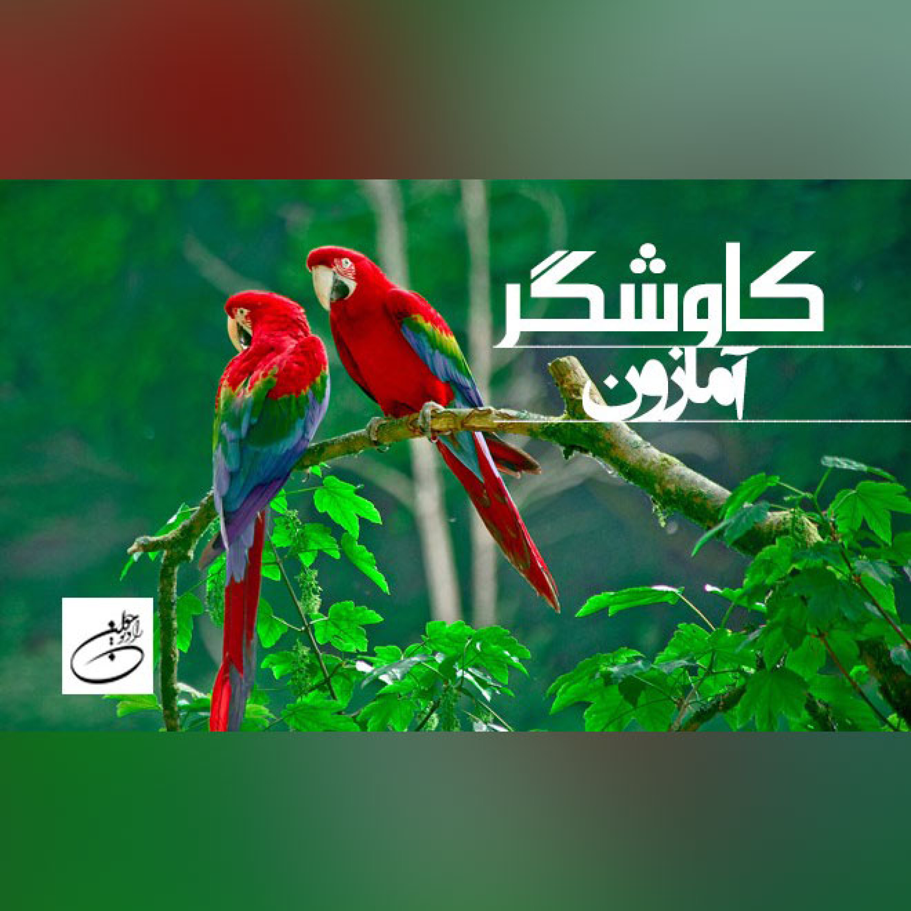 آمازون