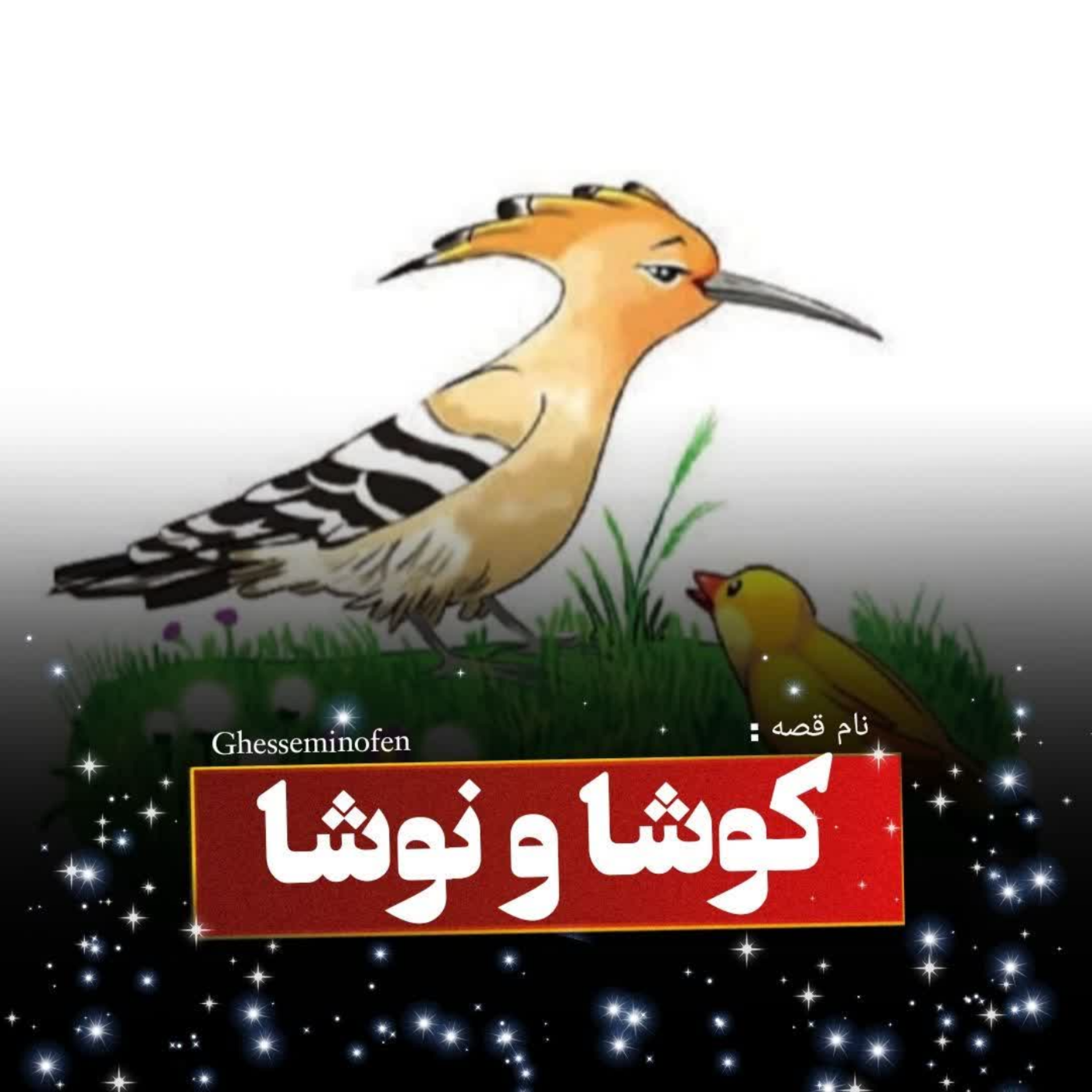 کاور کوشاو نوشا