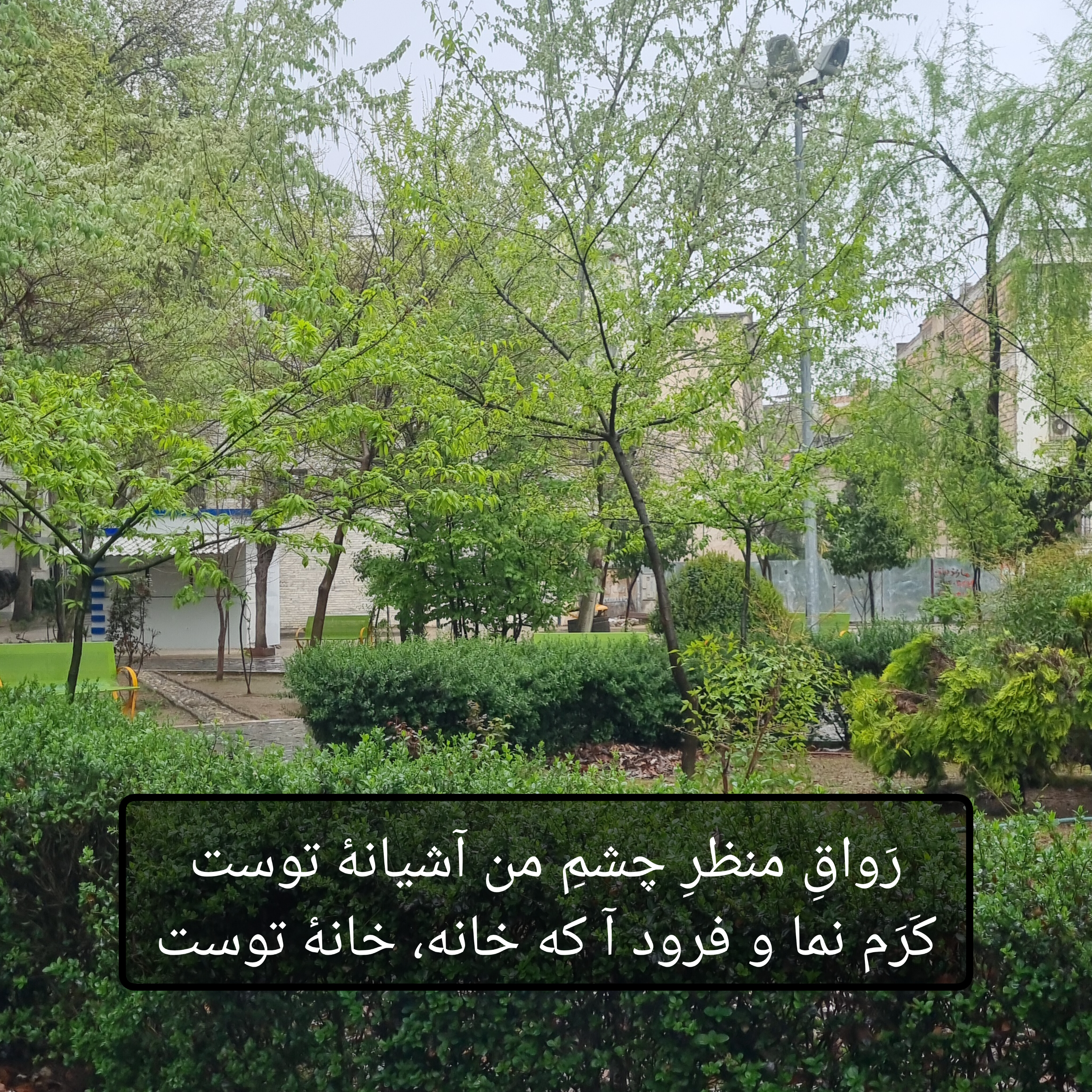 کاور حافظ - دیوان غزلیات - غزل شماره ۳۴