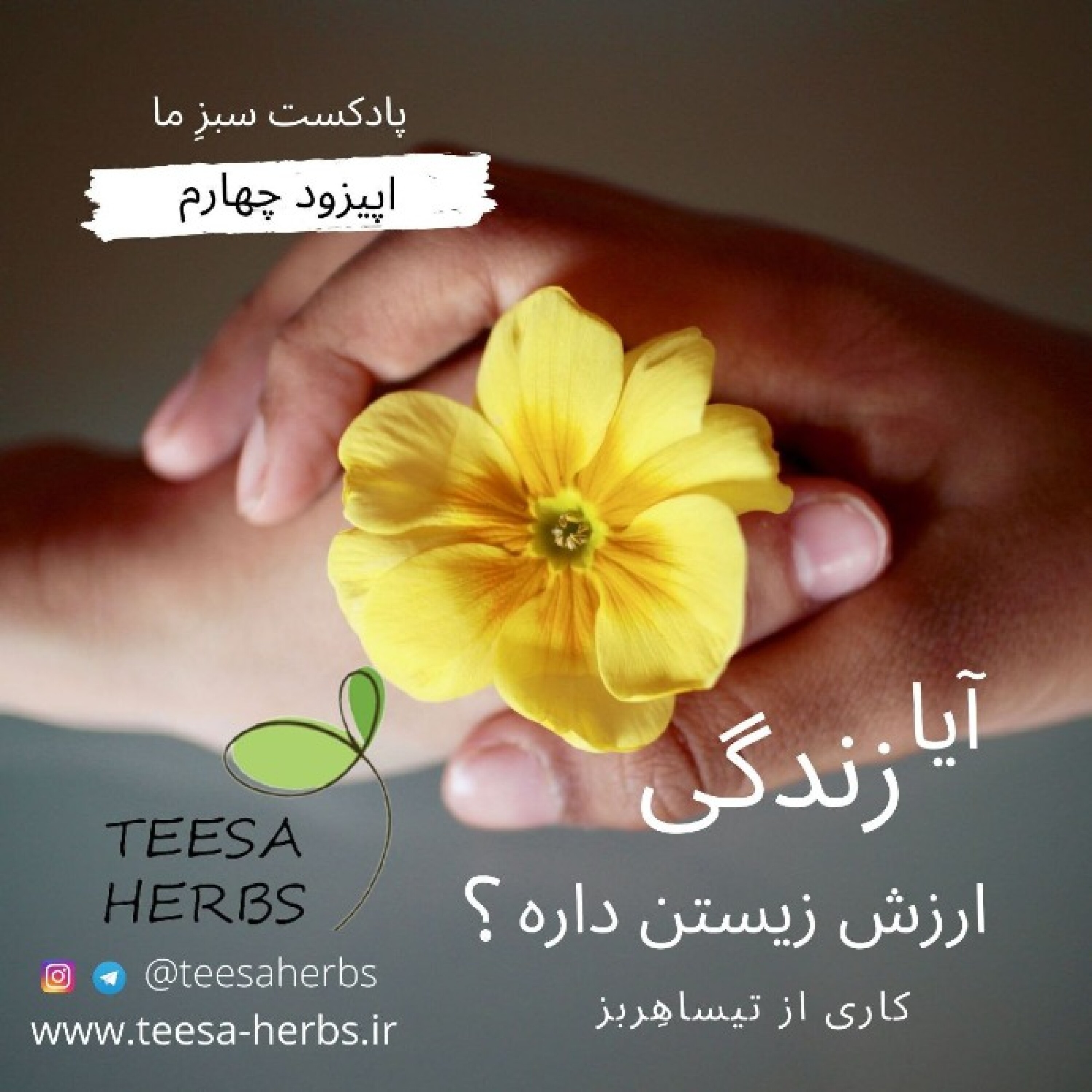 کاور سری سبز - اپیزود چهارم