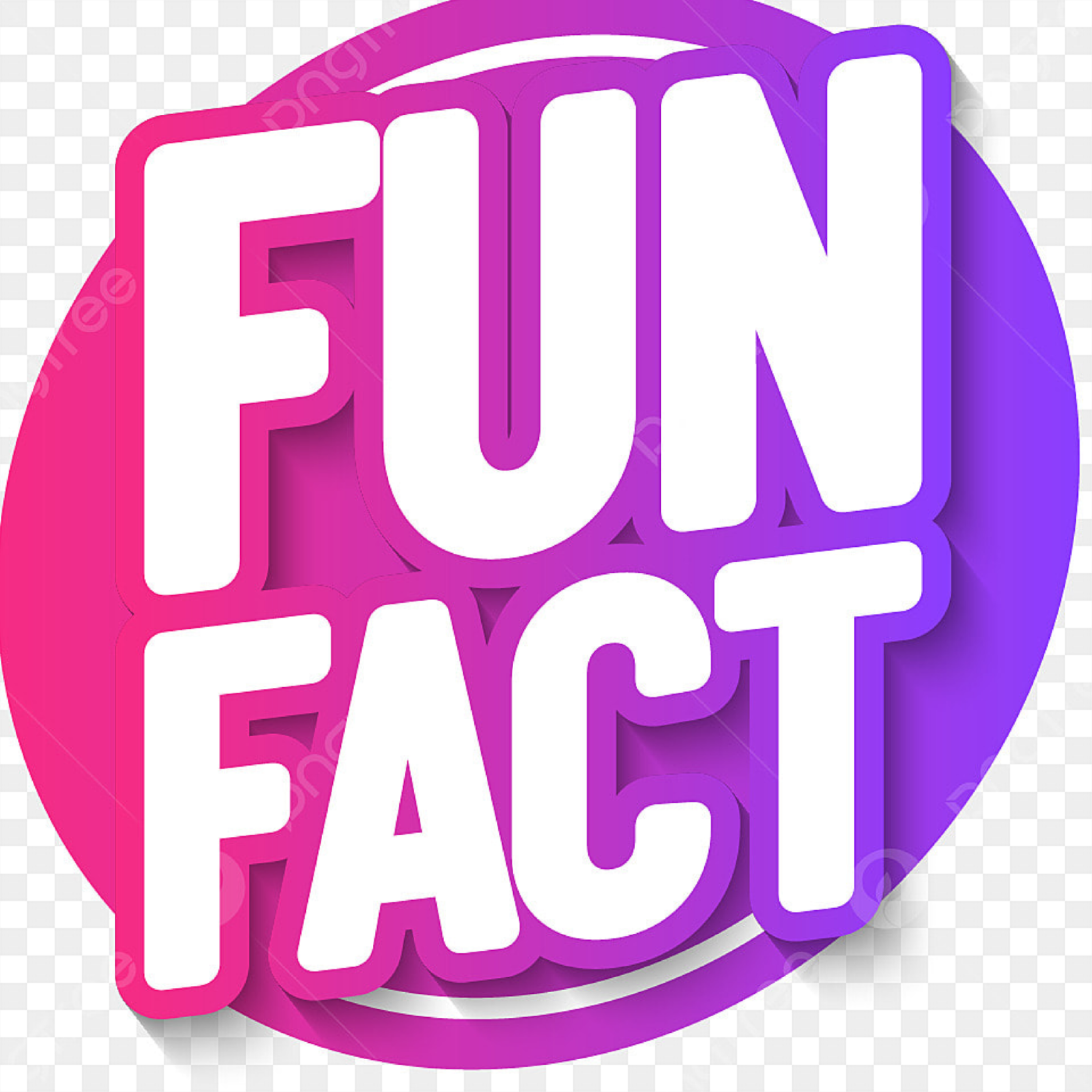 کاور Intro(fun fact )