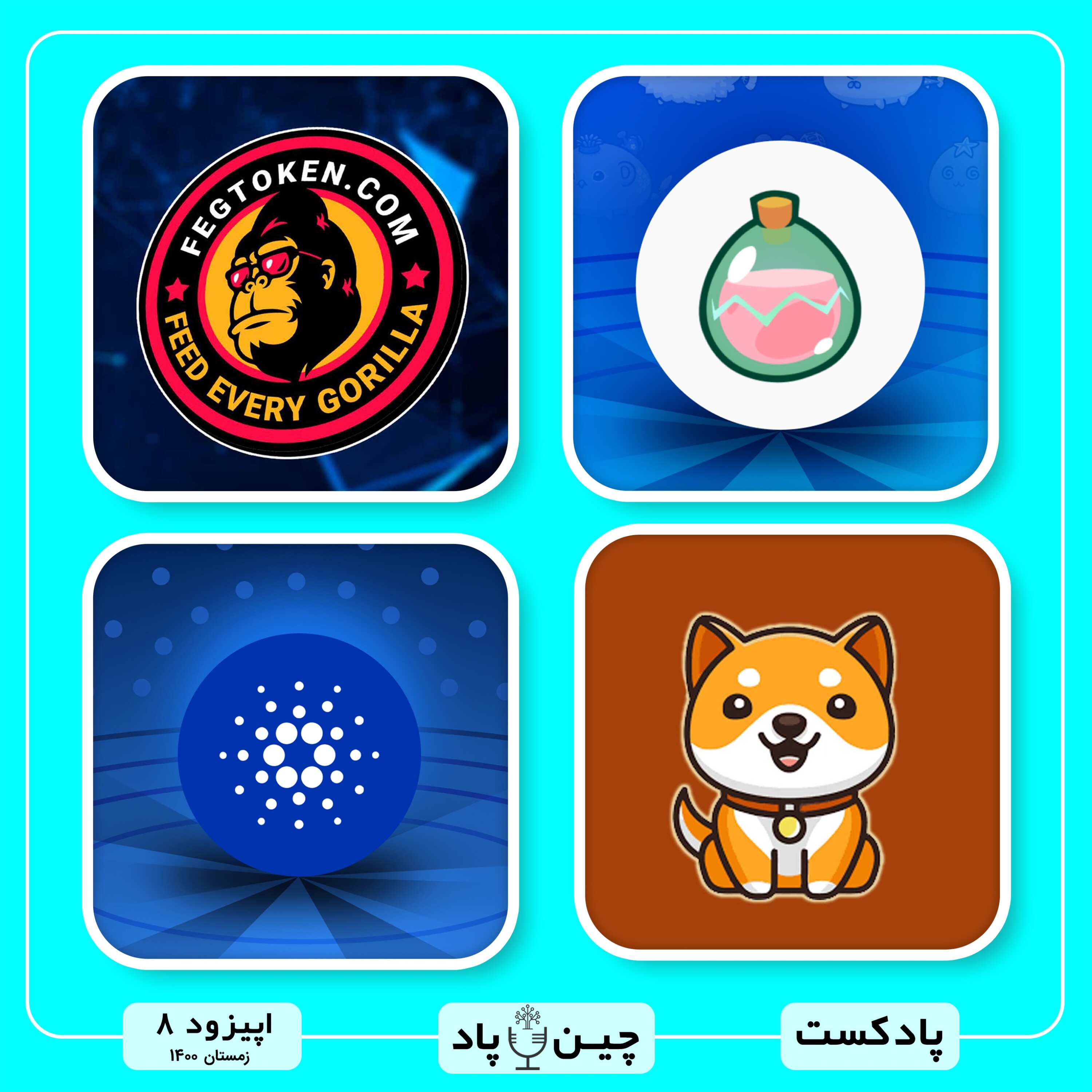 از اغاز توکن سوزی گسترده  FEG TOKEN تا رکورد شکنی جدید BABY DOGE و رشد 300 درصدی SLP تا اپدیت جدید پلوتوس  ADA کاردانو episode artwork