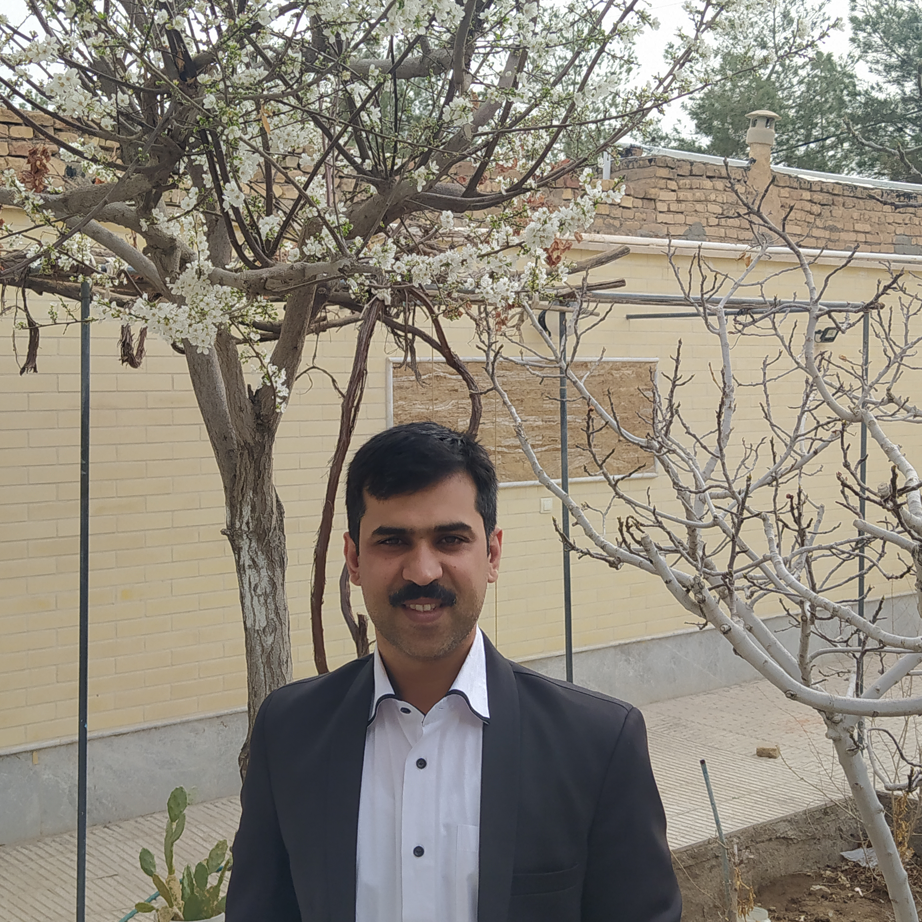 کاور معجزه شکر گزاری ، روز پانزدهم