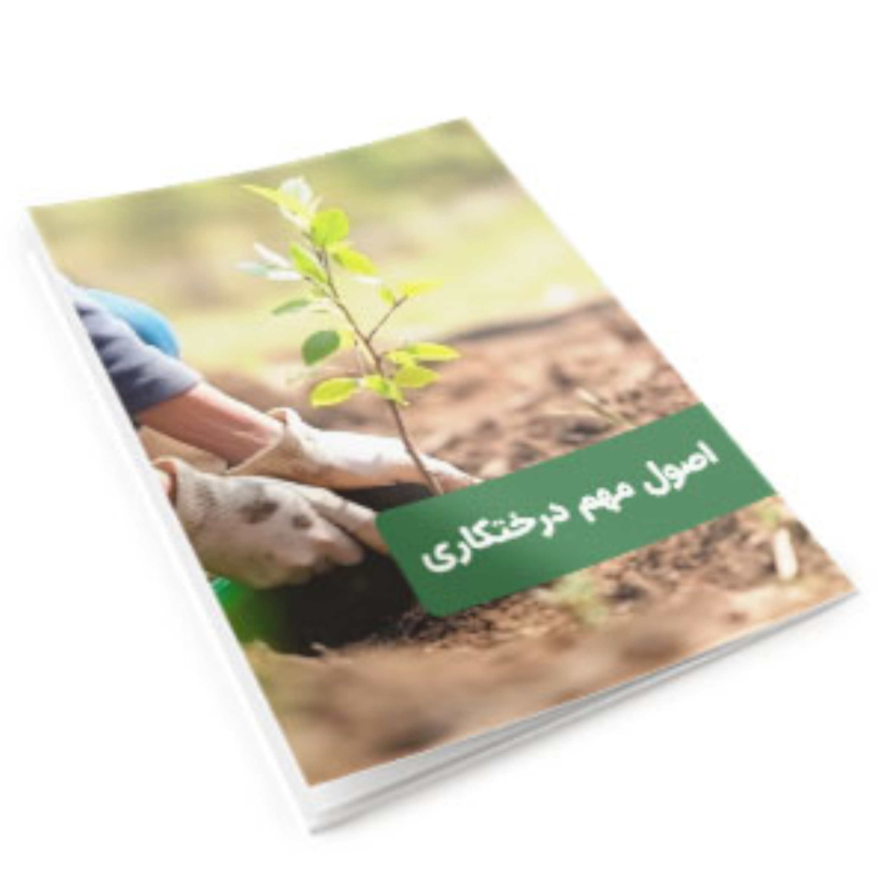 کاور اصول درختکاری