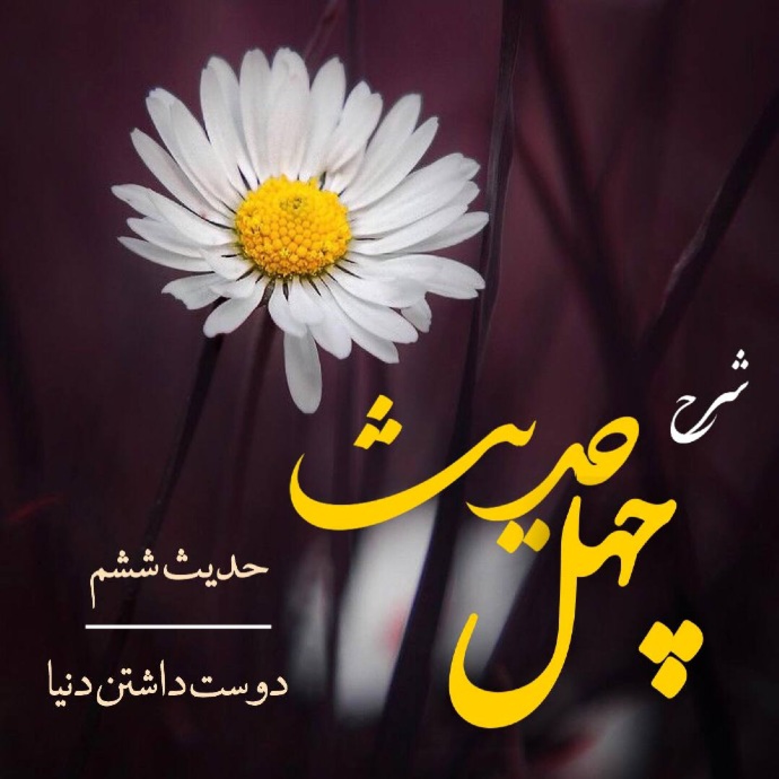 کاور کتاب چهل حدیث به زبان ساده (حدیث ششم) - ۳۸ ـ دوست داشتن دنیا ـ بخش اول