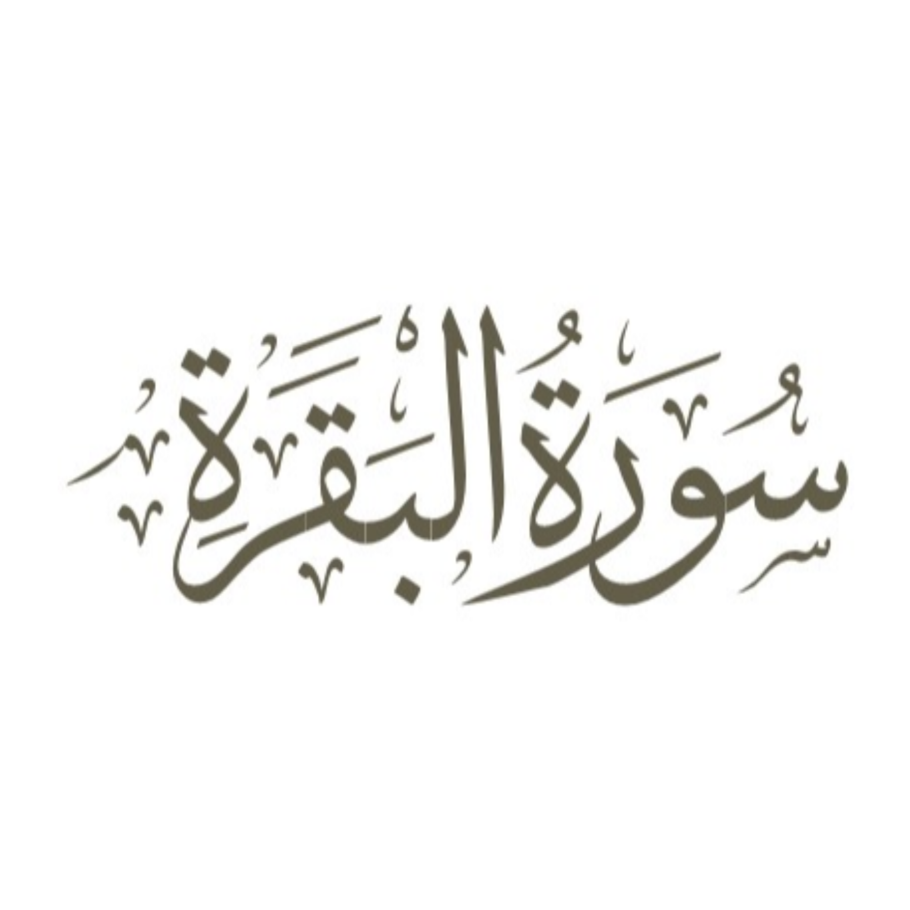 کاور قسمت 12: آیه 10 سوره بقره