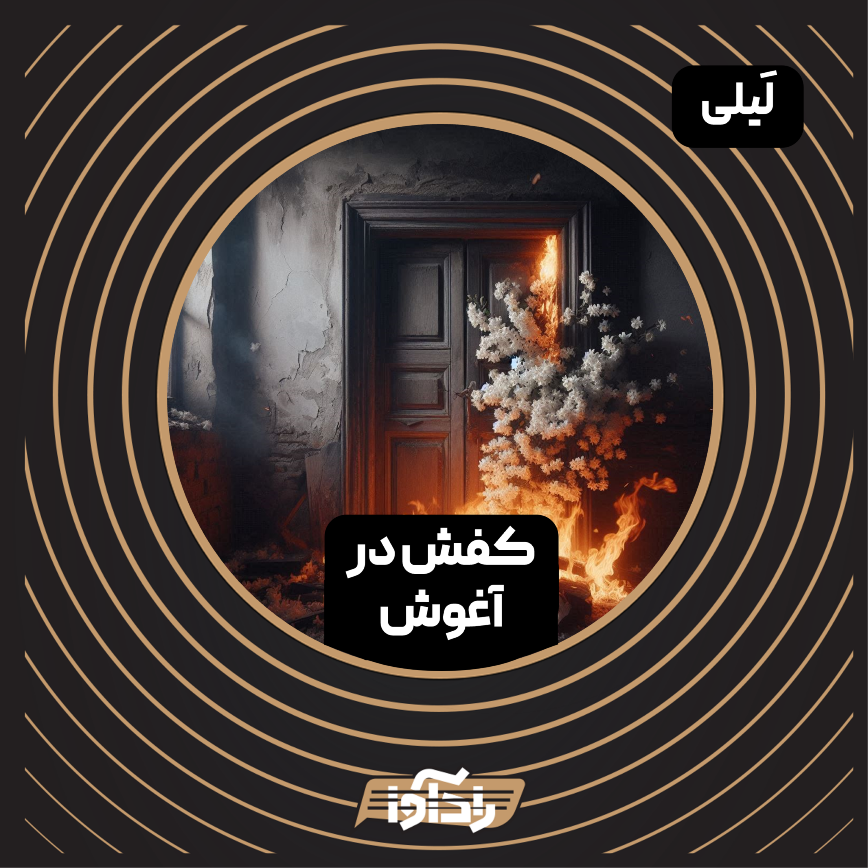 کاور کفش در آغوش (E4 Layli)