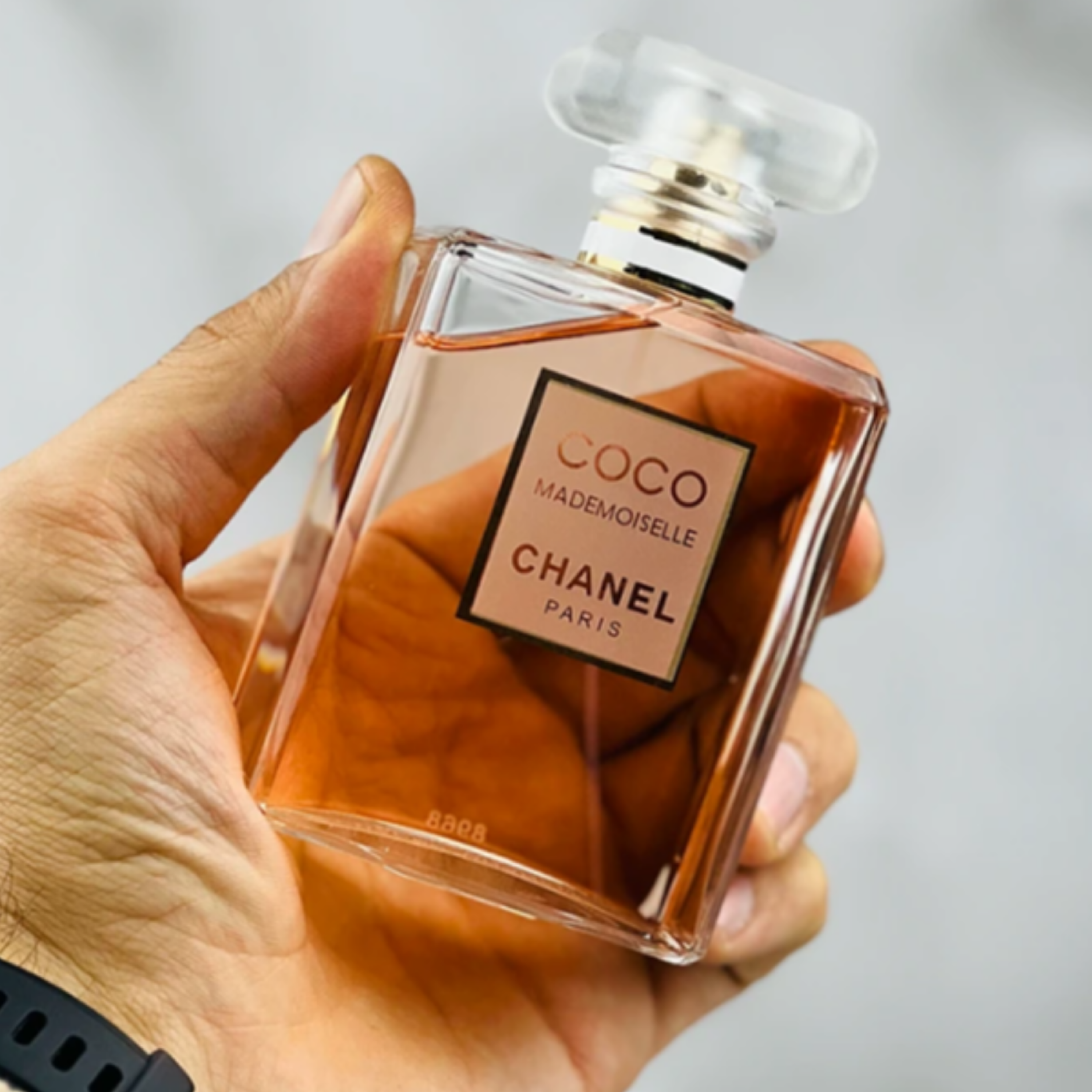 کاور معرفی عطر کوکو مادمازل شنل