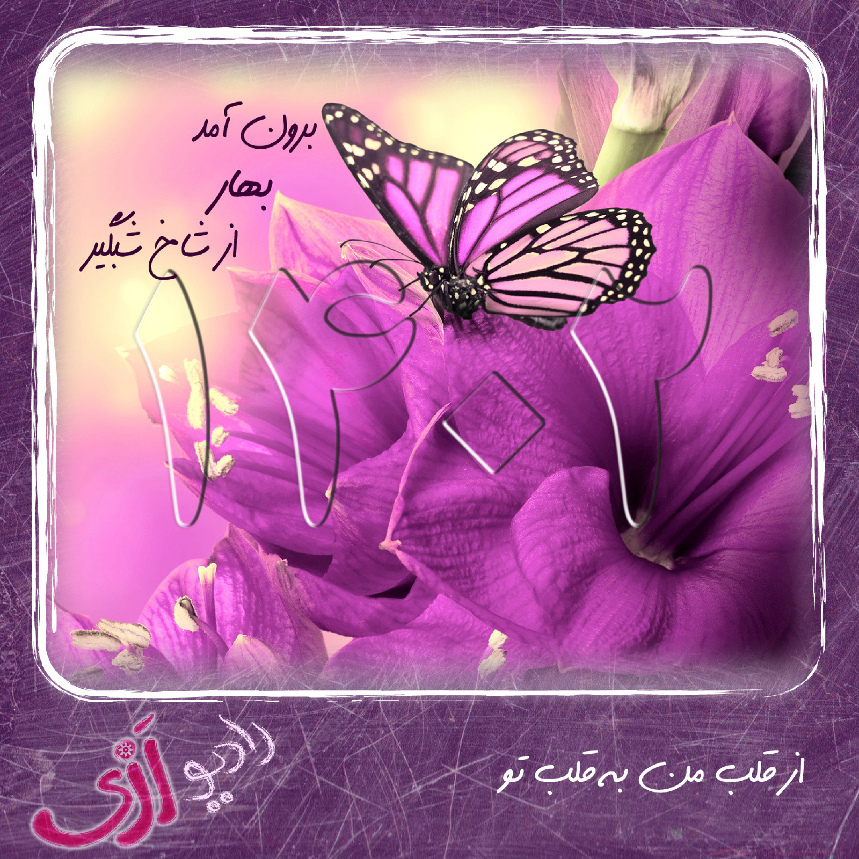 کاور (۱۲) از قلب من به قلب تو - به همراه نیایش و سپاسگزاری