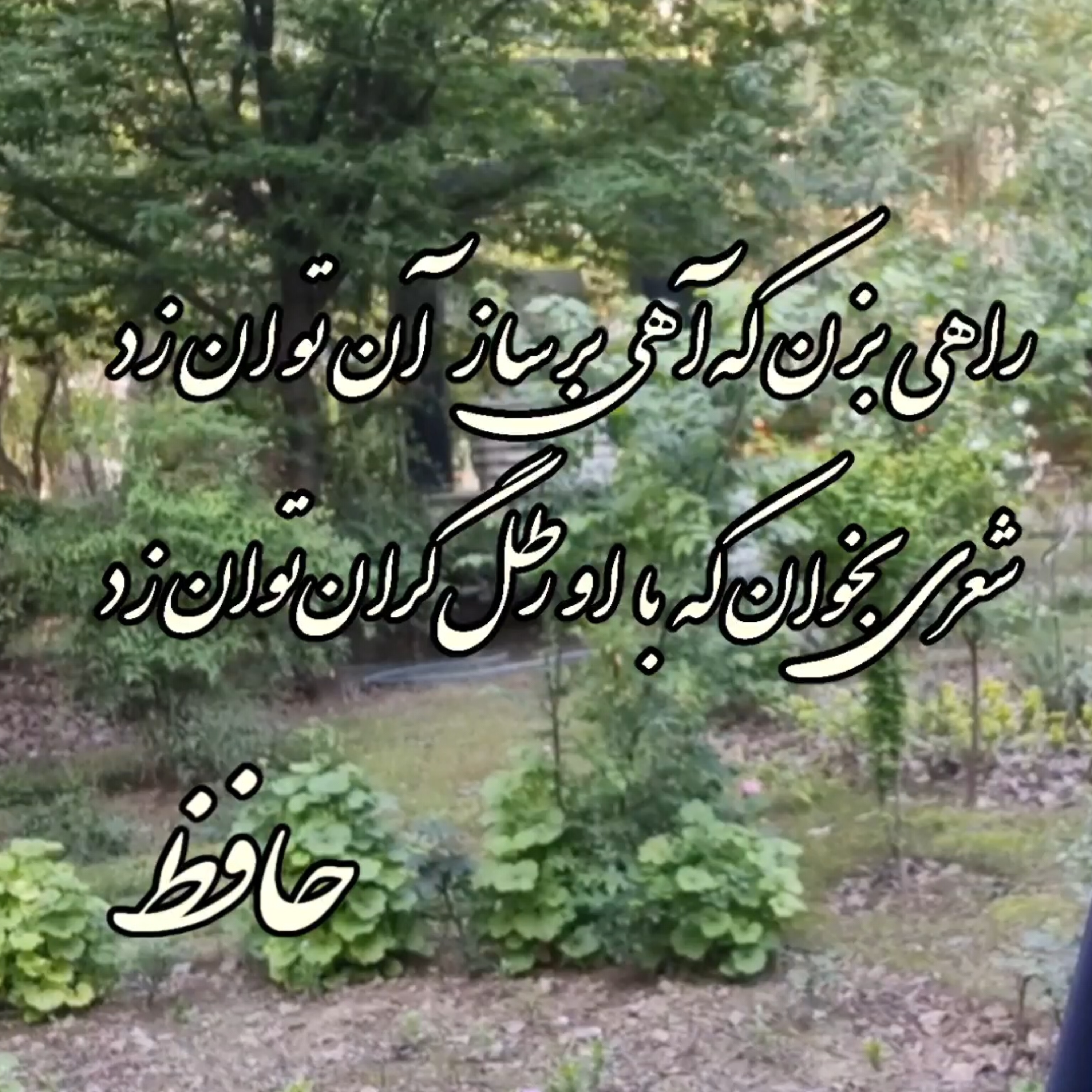 کاور حافظ - دیوان غزلیات - غزل شماره ۱۵۴