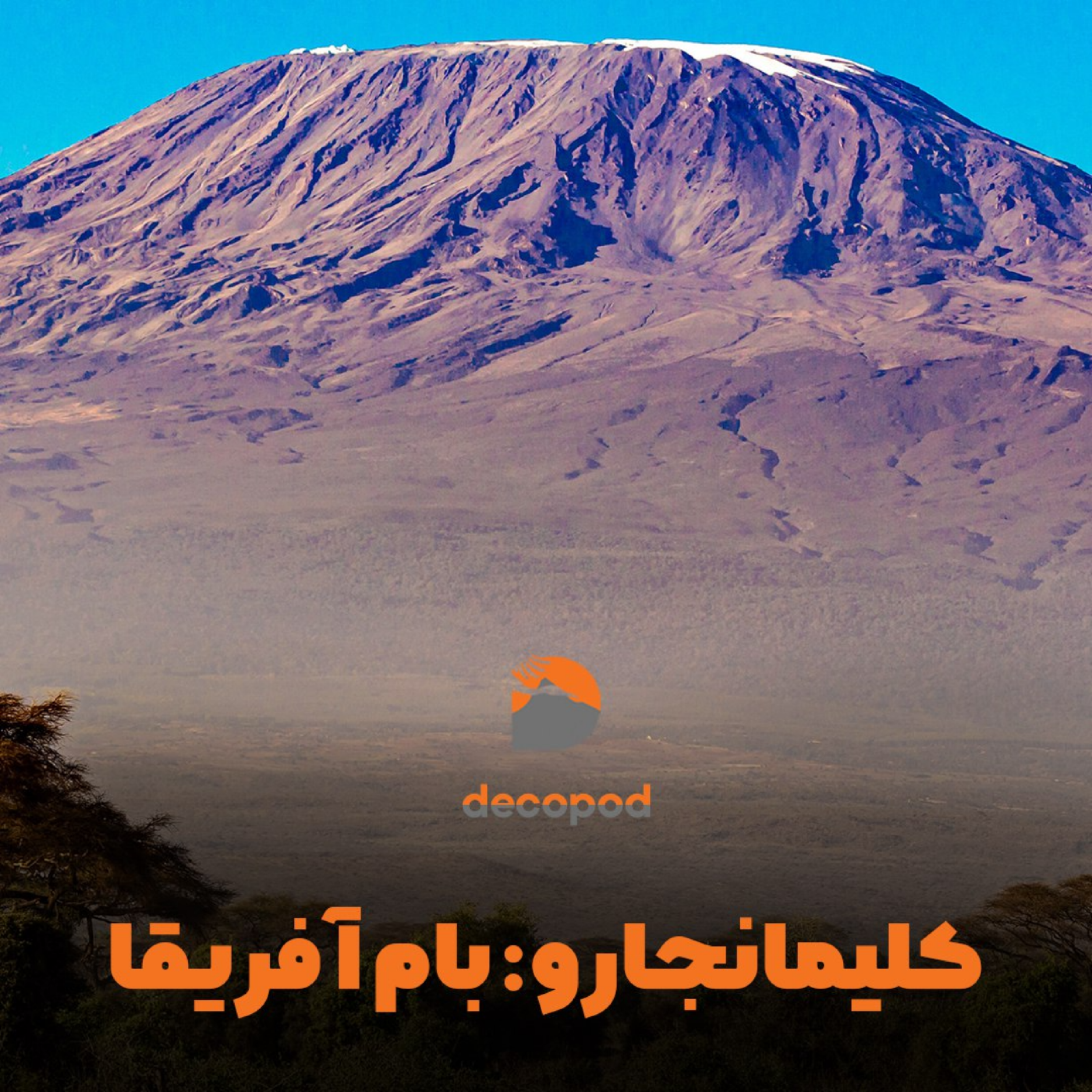 کاور کلیمانجارو: بام آفریقا