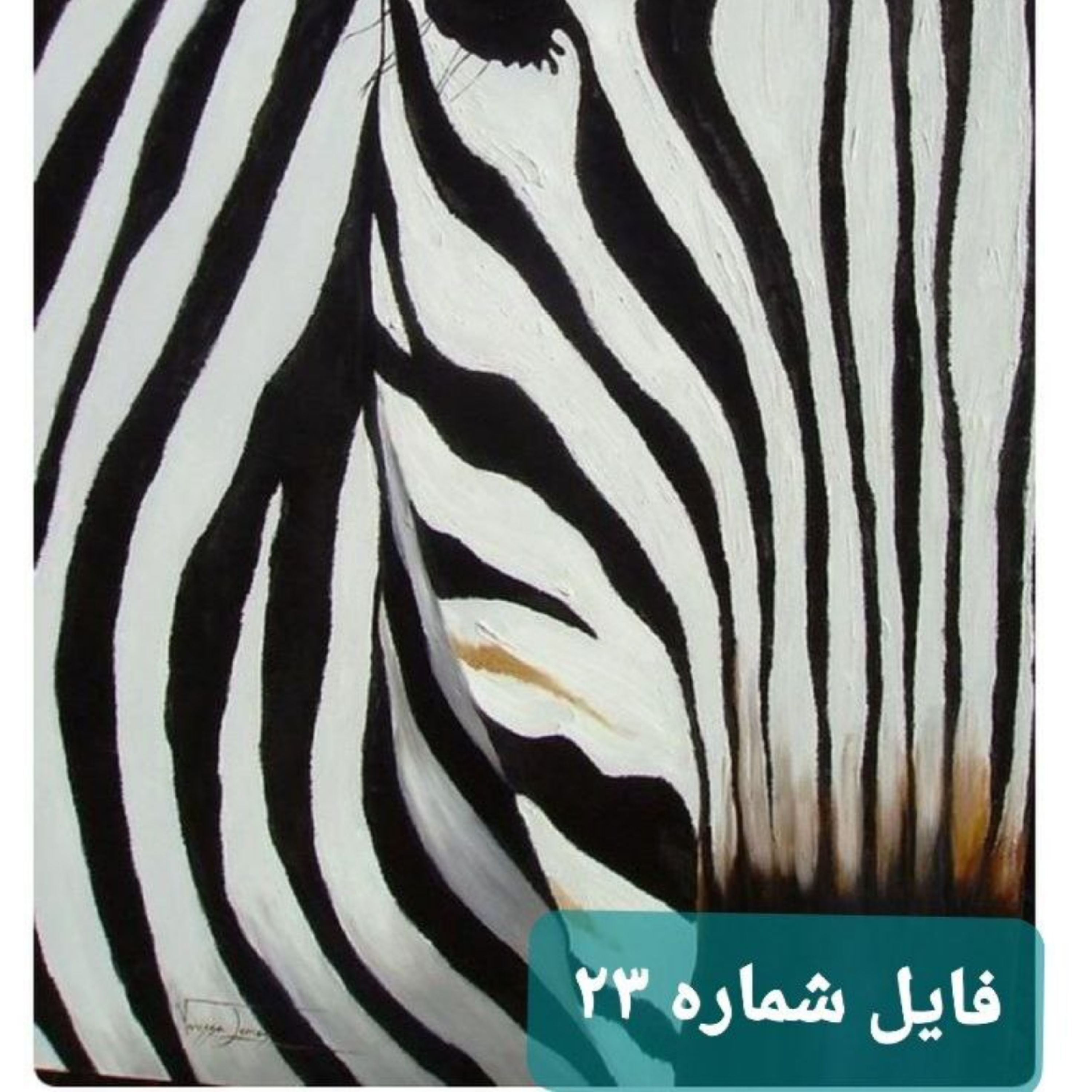 کاور دیدگاه گور خری در روابط