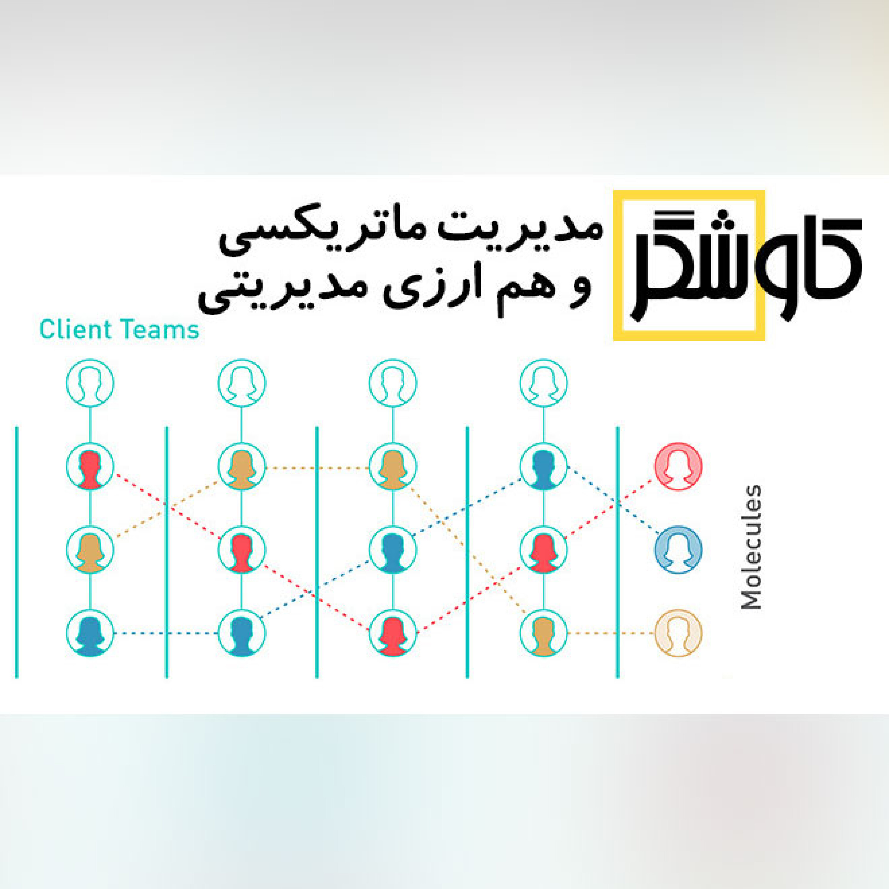 مدیریت ماتریکسی و هم ارزی مدیریتی