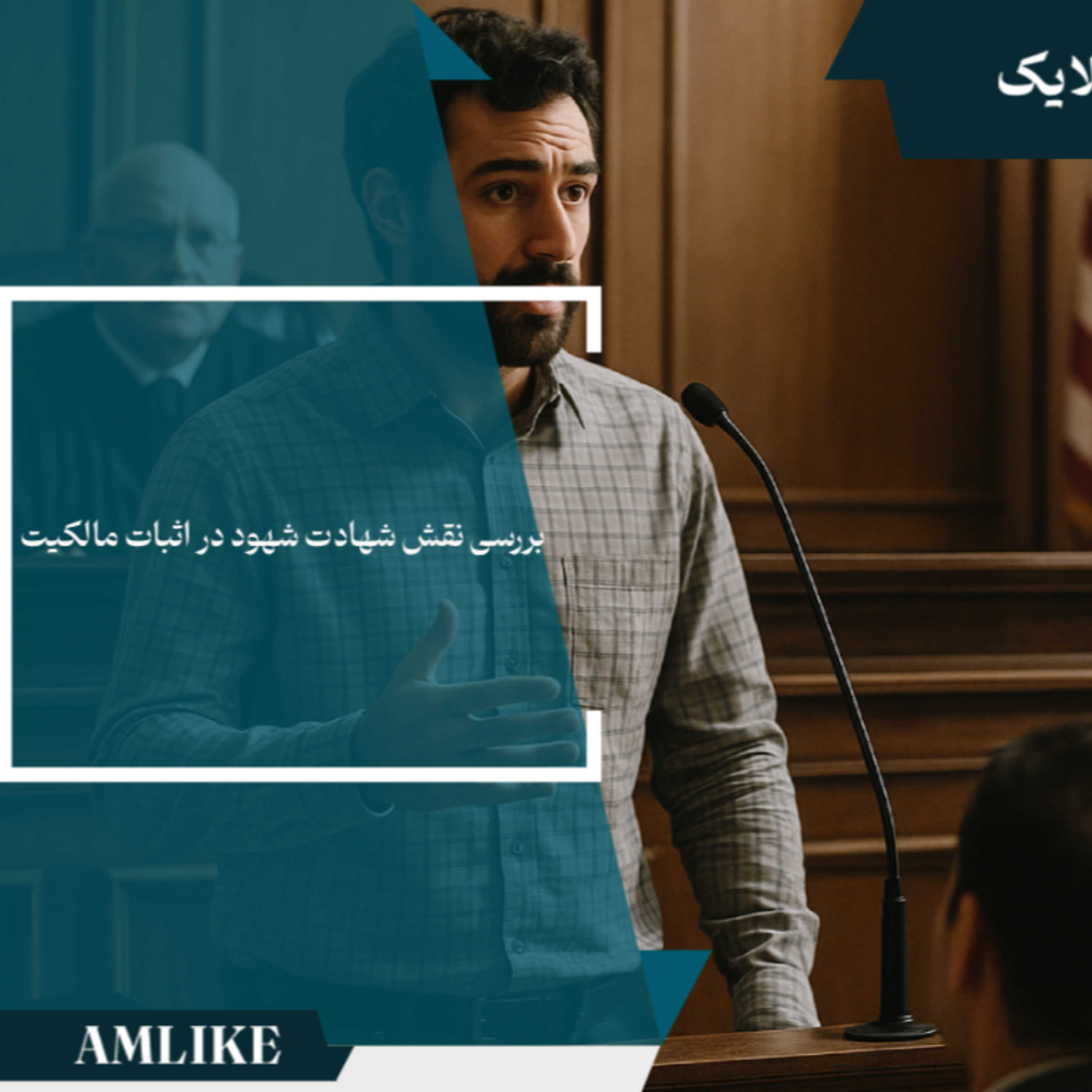 کاور بررسی نقش شهادت شهود در اثبات مالکیت