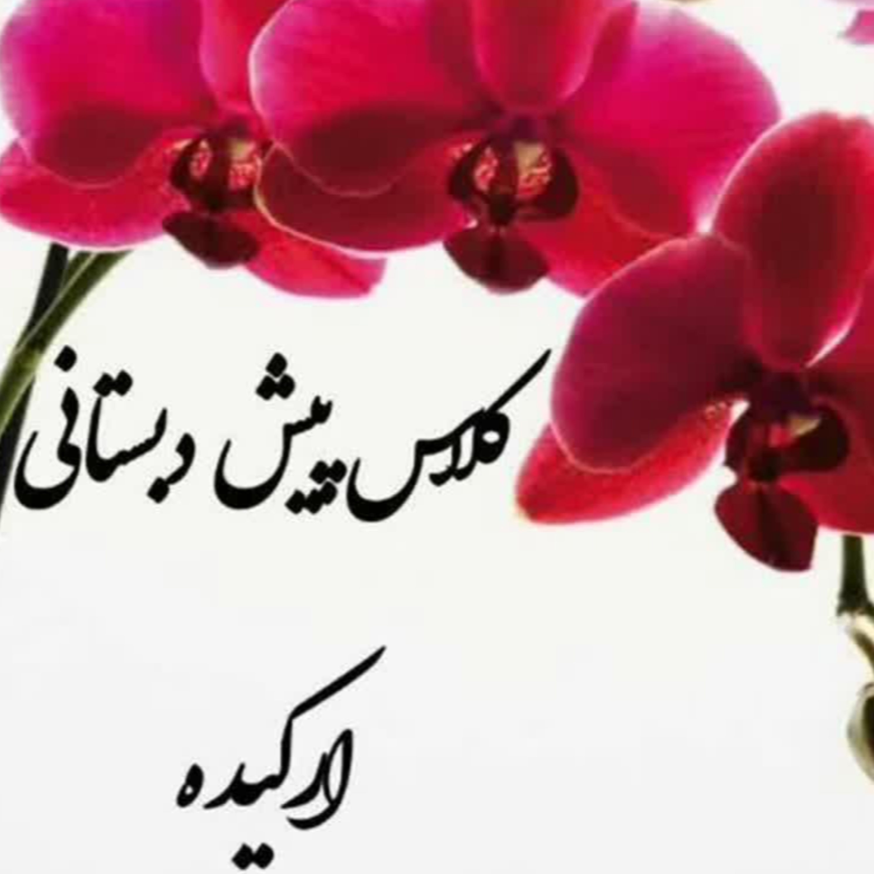 کاور فارغ التحصیلی