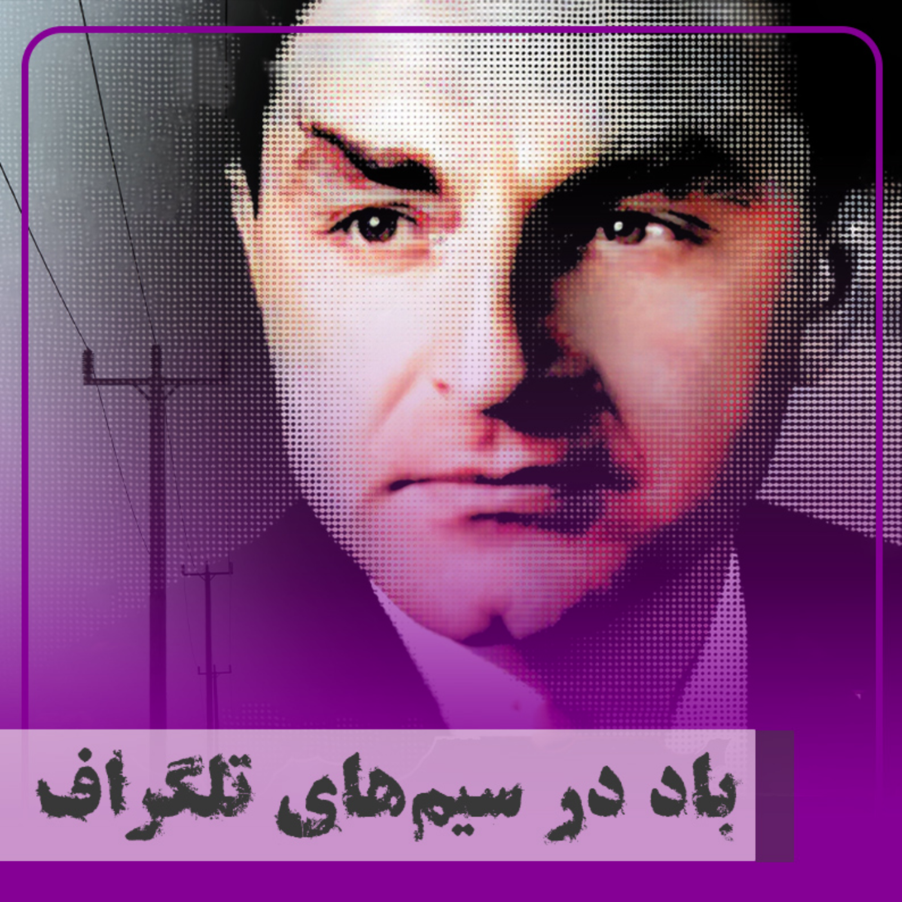 کاور باد در سیمهای تلگراف