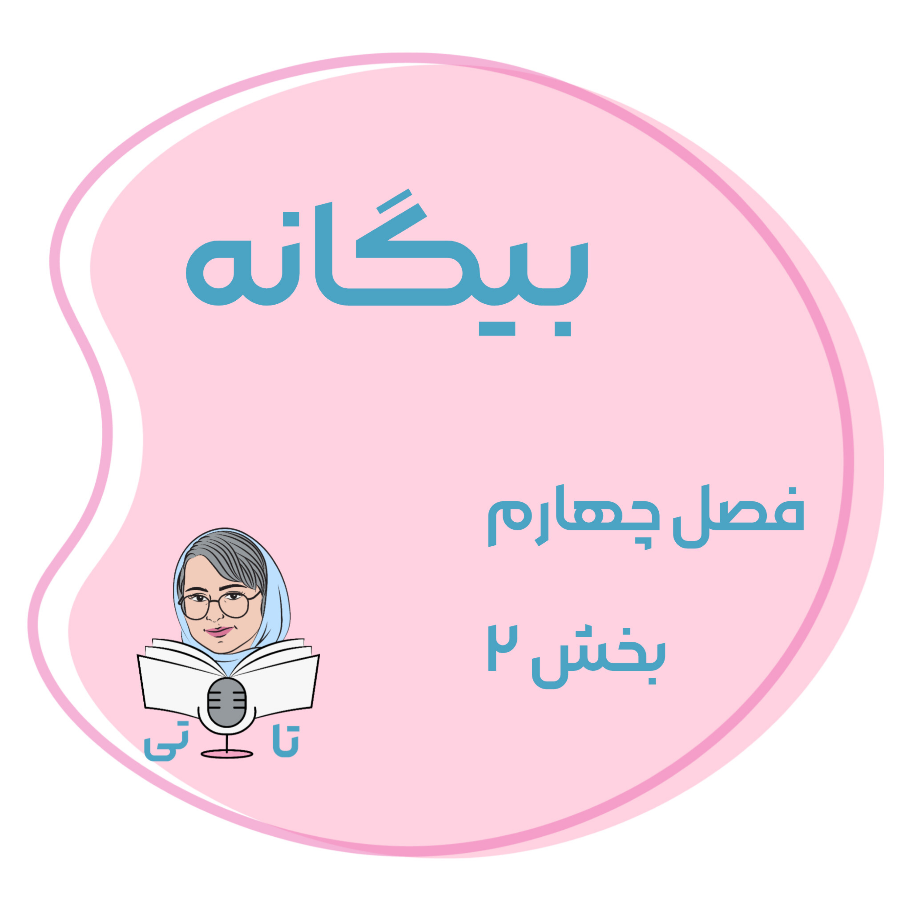 کاور کتاب بیگانه فصل چهارم از بخش ۲