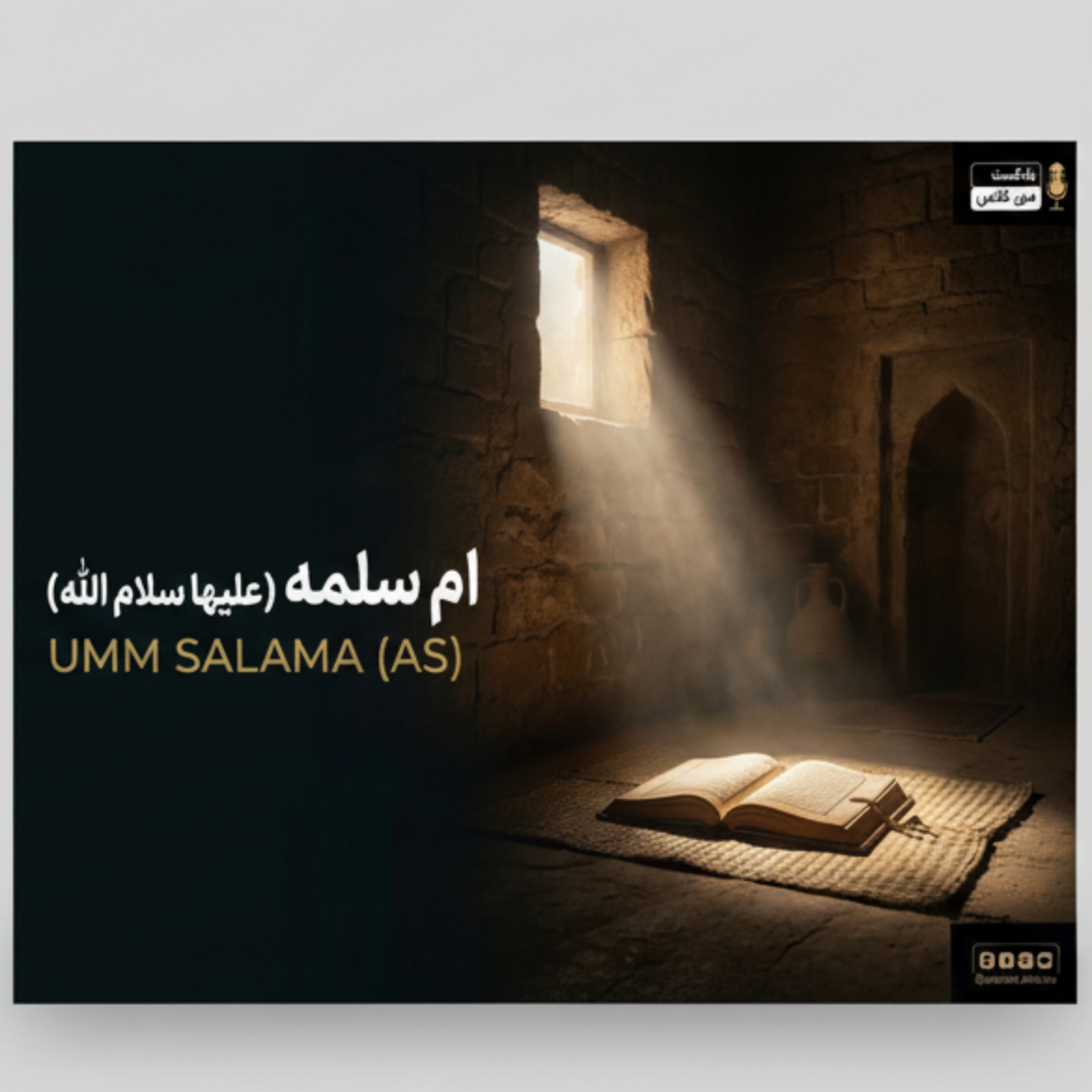کاور ام سلمه 2