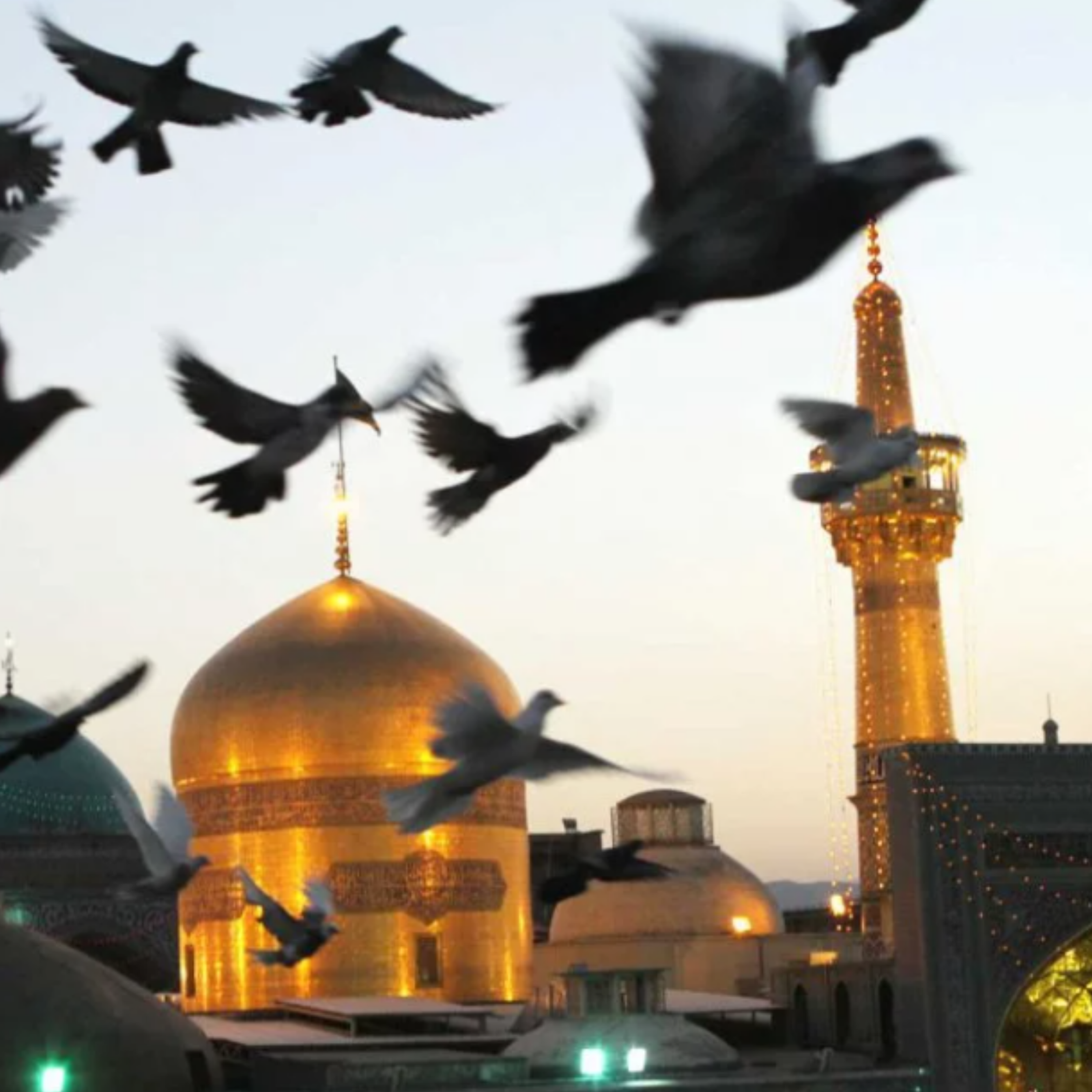 کاور داستانک سکوت