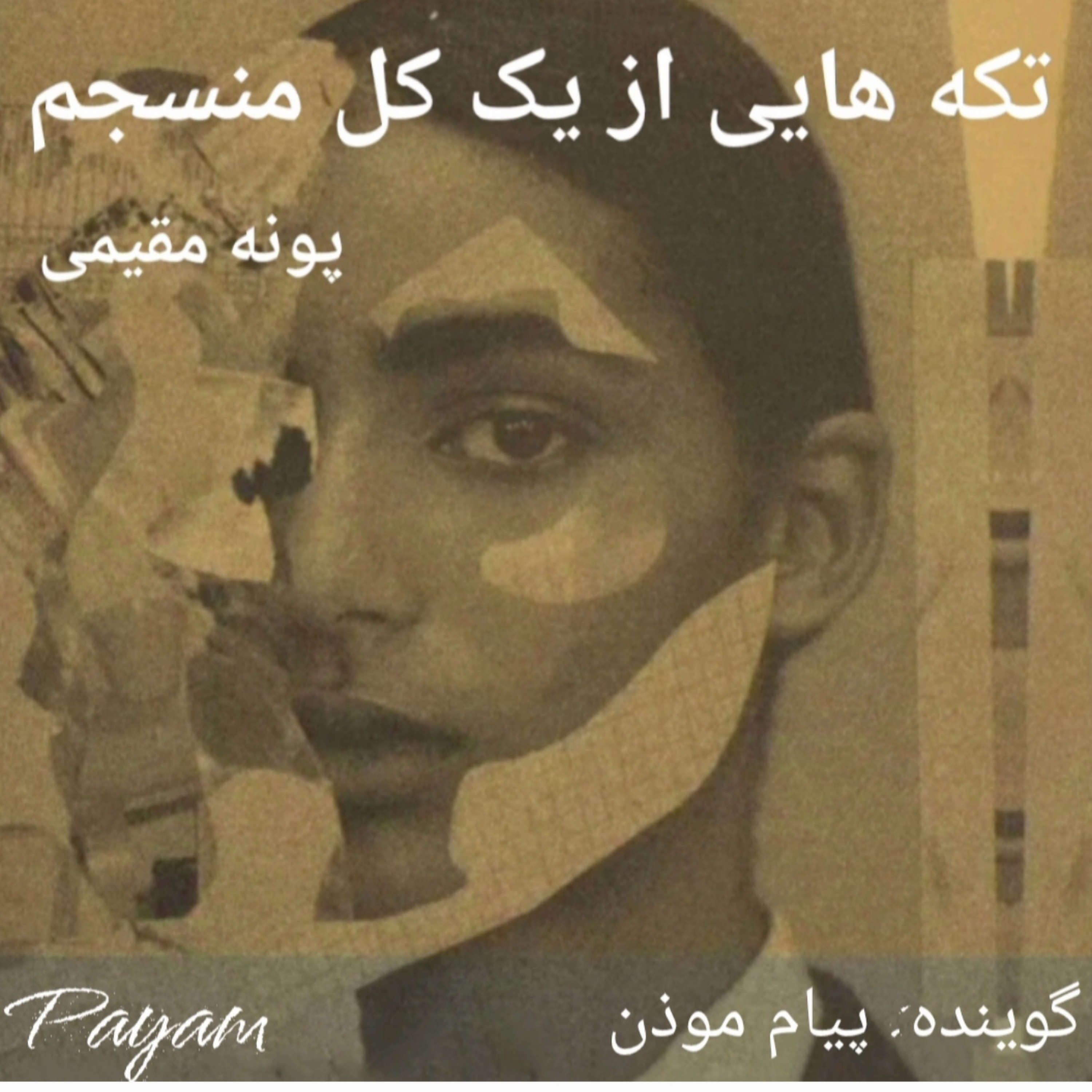 کاور به عمر بسیار کوتاه شاد بودن توجه کنیم