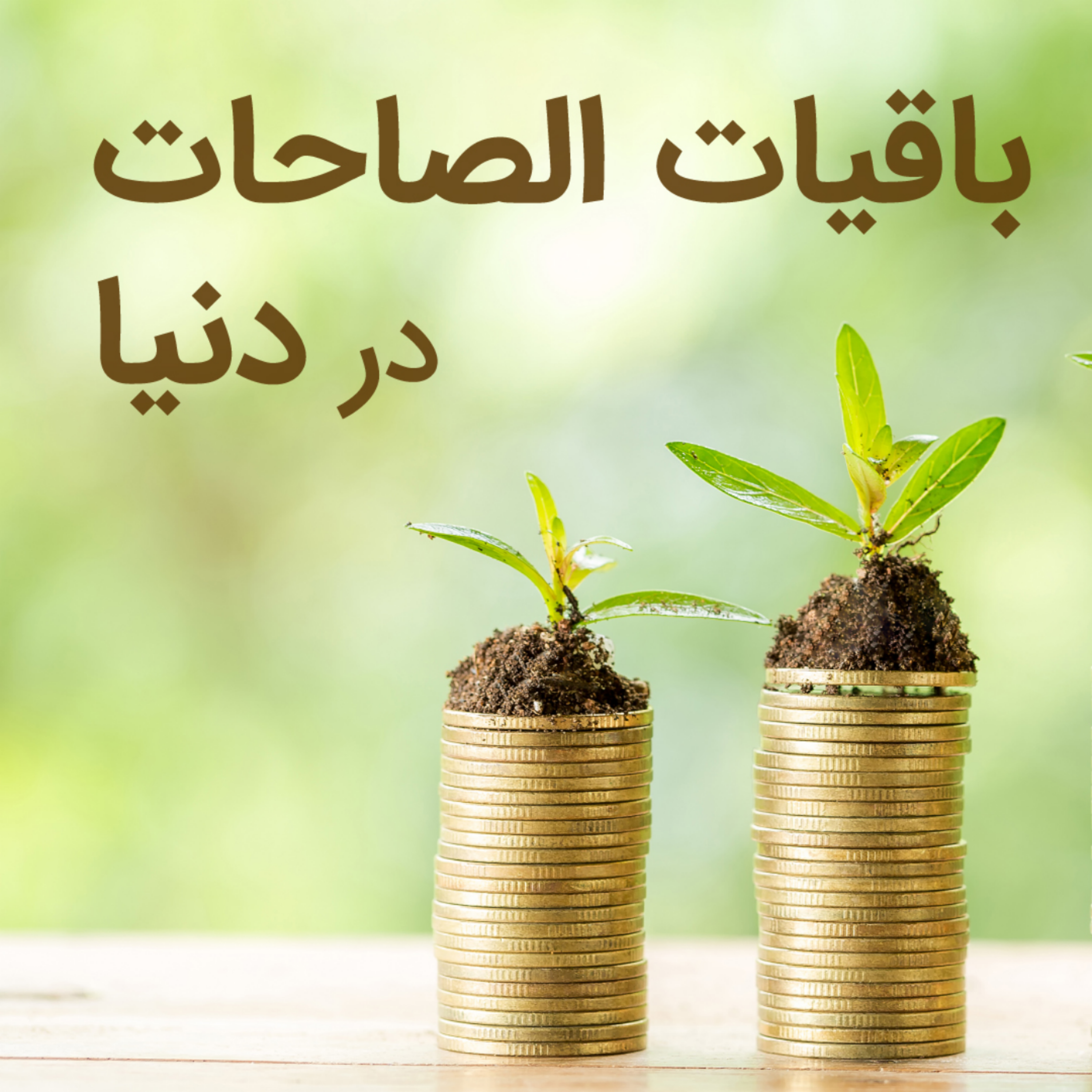 کاور سرمایه گزاری مطمئن