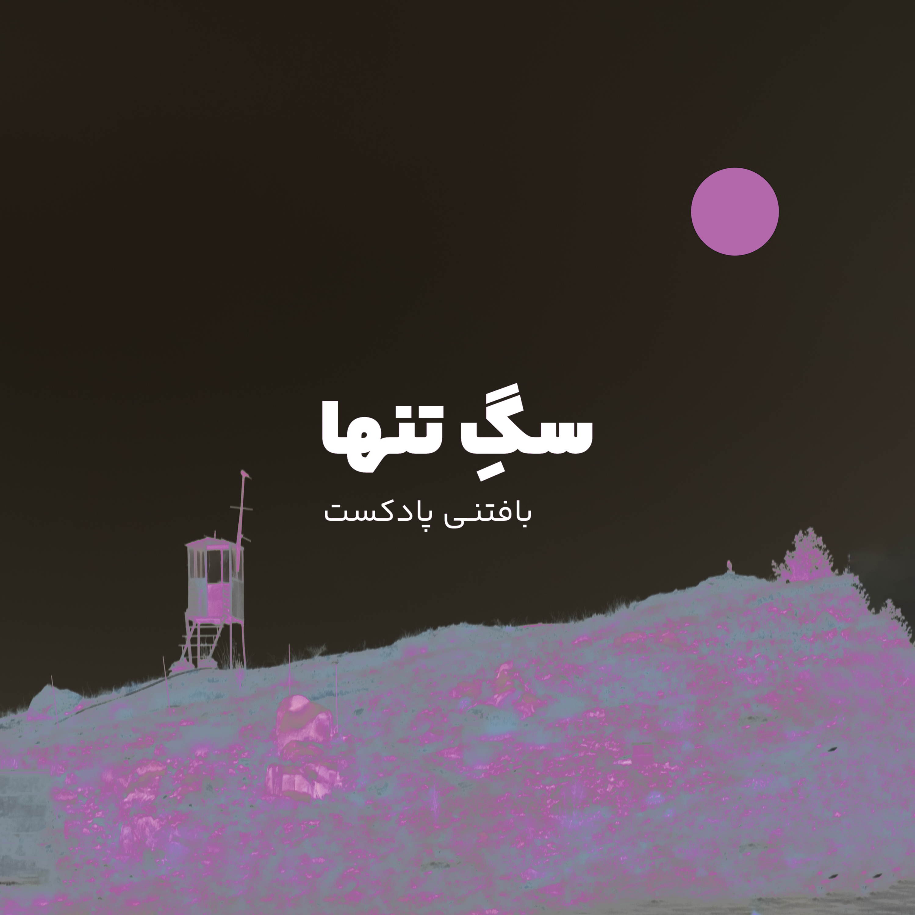 کاور سگ تنها