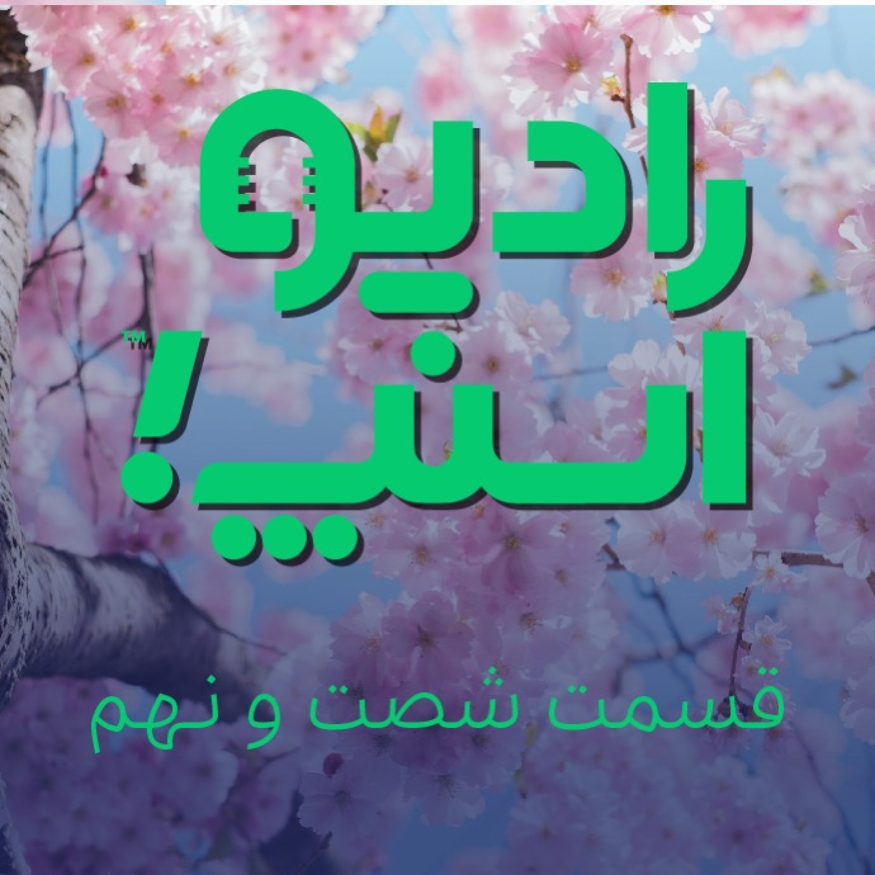 رادیو اسنپ، به مقصد بهار!