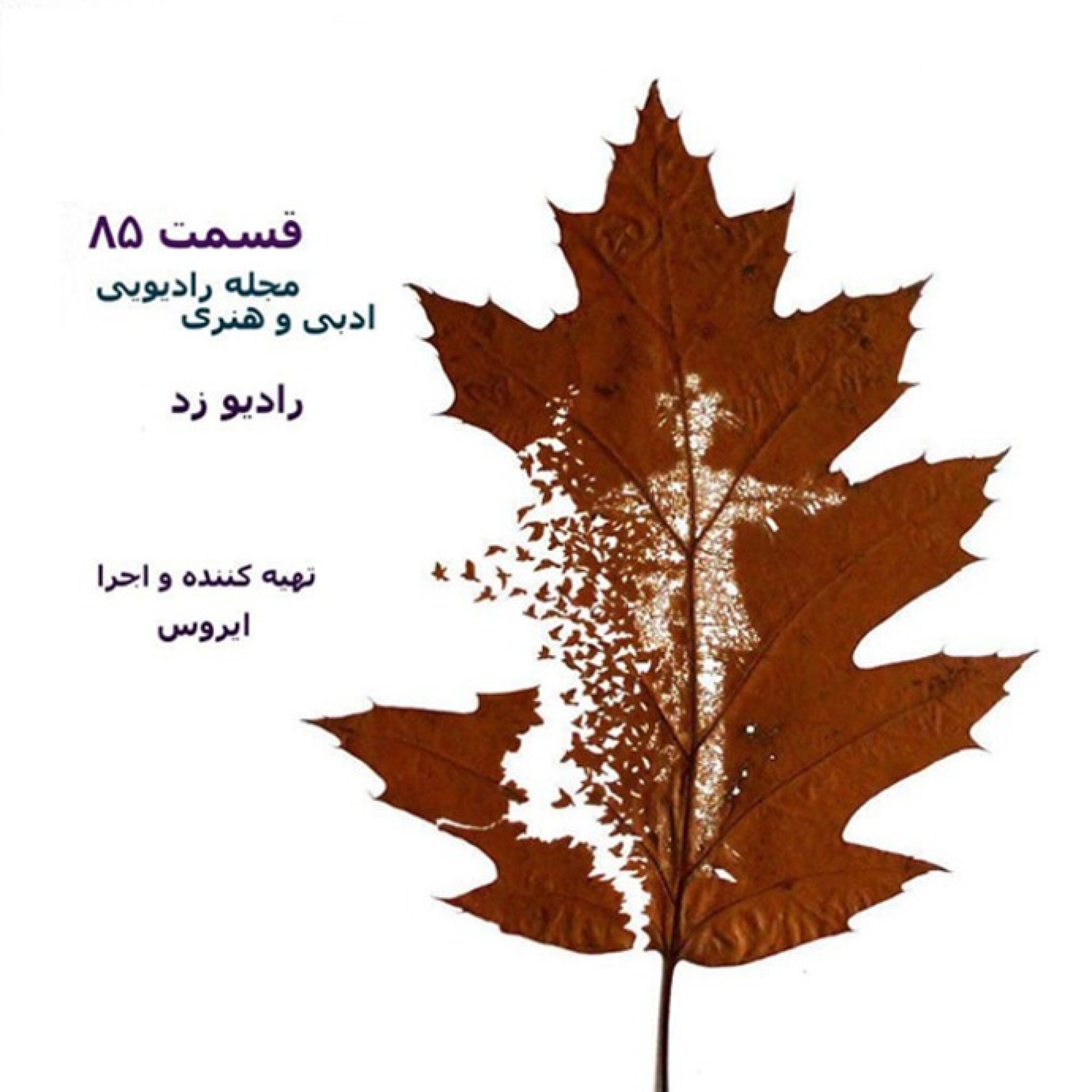 کاور قسمت 85 رادیوz - 5-85 قاب زندگی