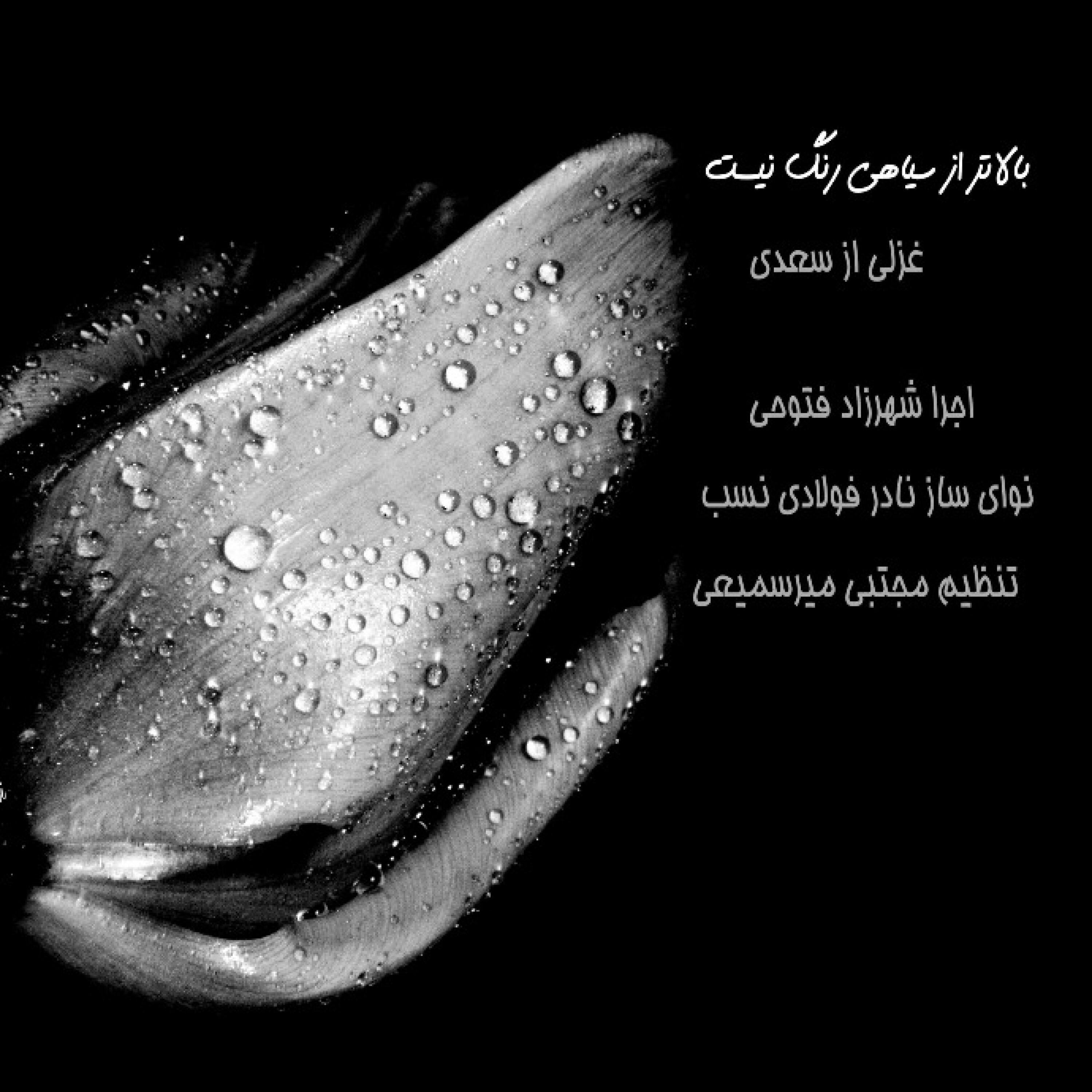 از چه می‌ترسی دگر بعد از سیاهی رنگ نیست episode artwork