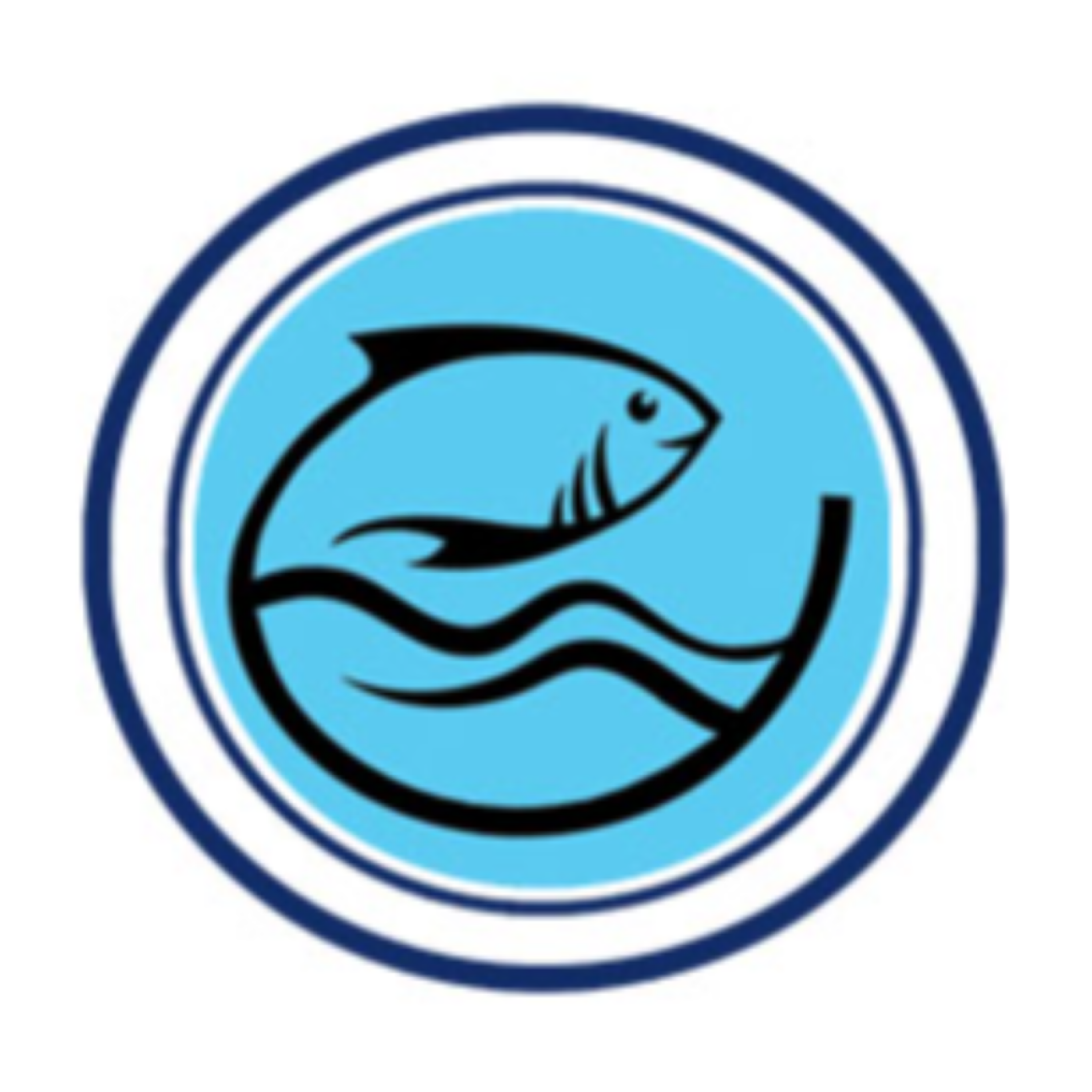 کاور طراحی بر پایه نیاز بازار در حوزه صنایع دستی (پخش شده از رادیو اقتصاد)
