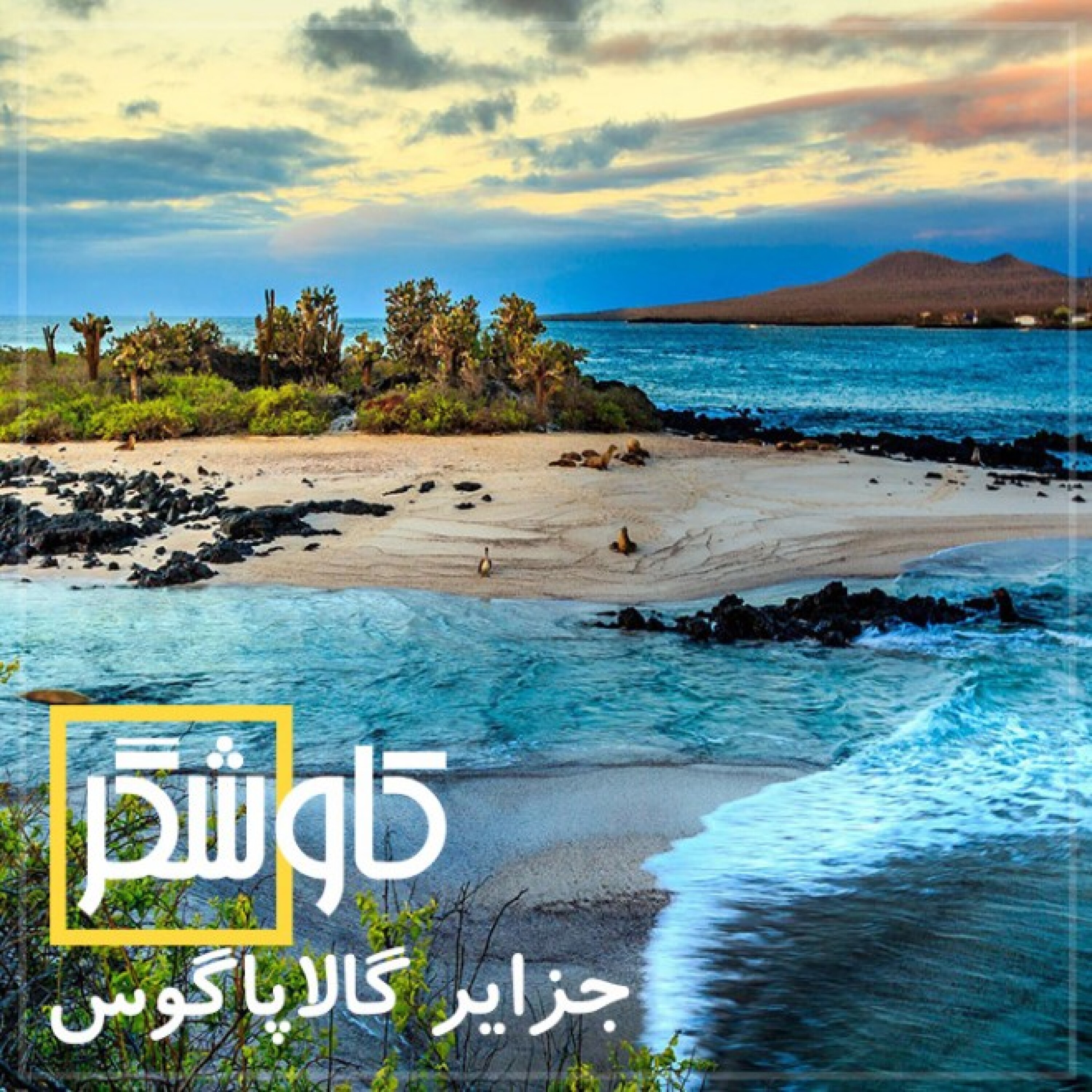 جزایر گالاپاگوس (کاوشگر)