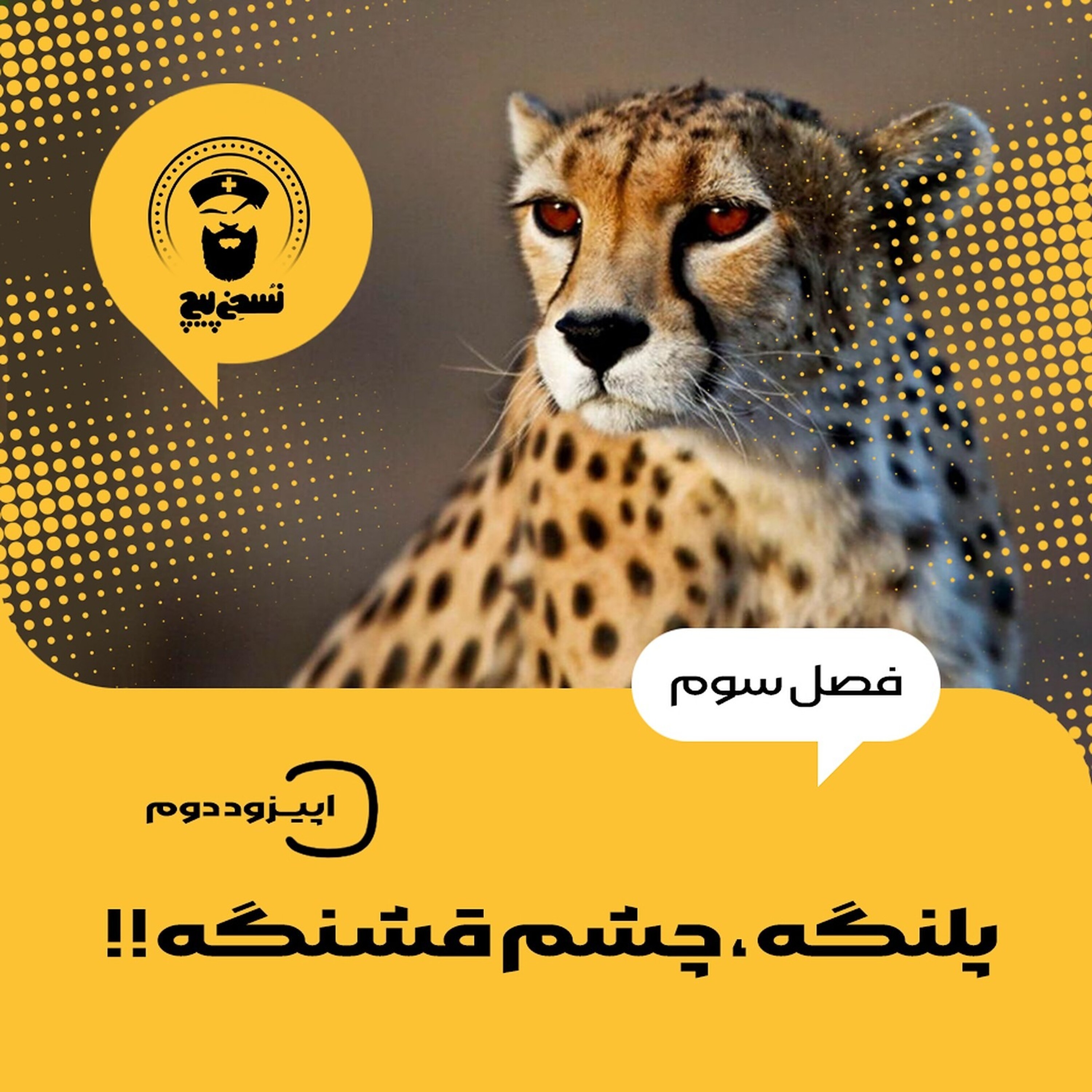 کاور فصل سوم،اپیزود دوم : پلنگه،چشم قشنگه!!