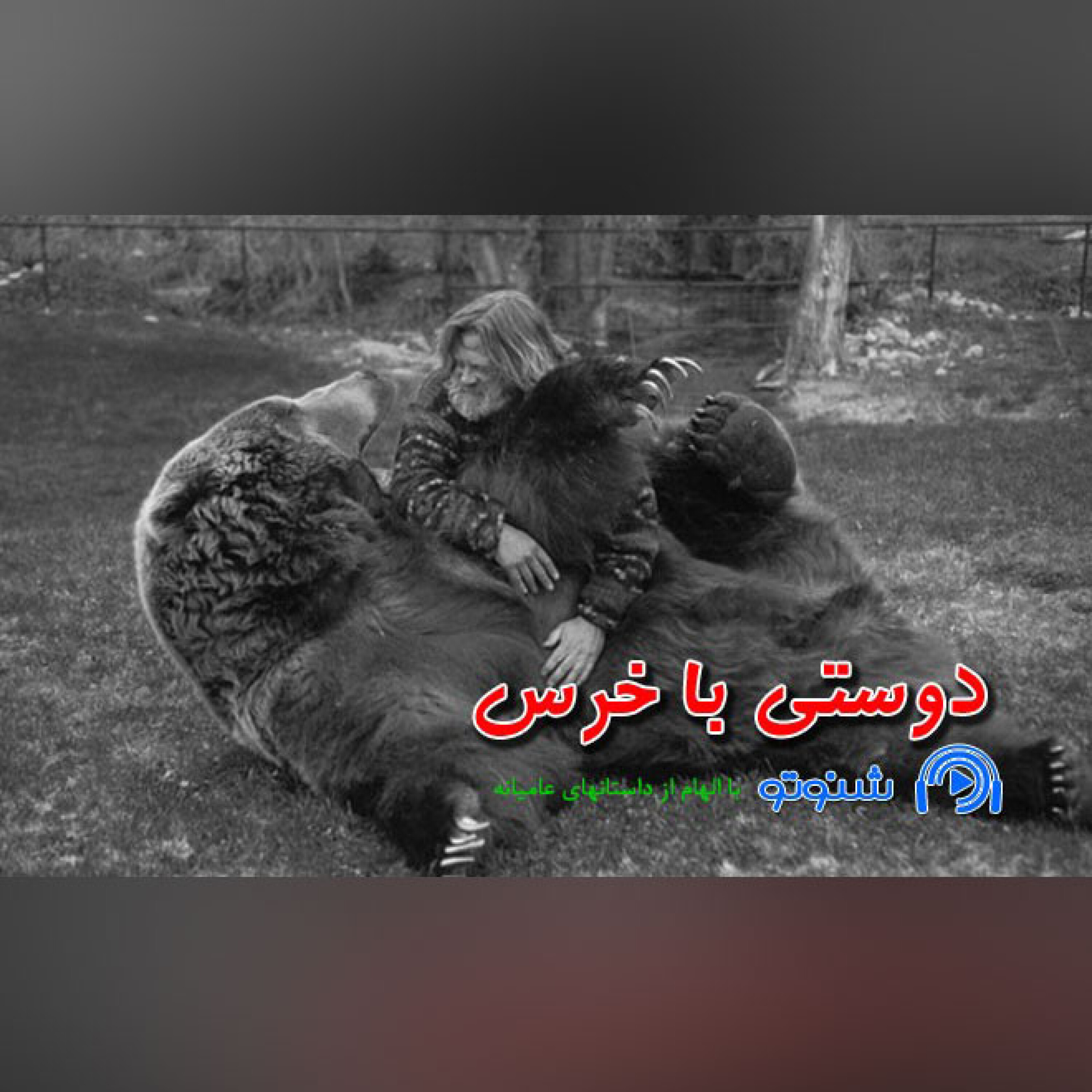 کاور دوستی با خرس