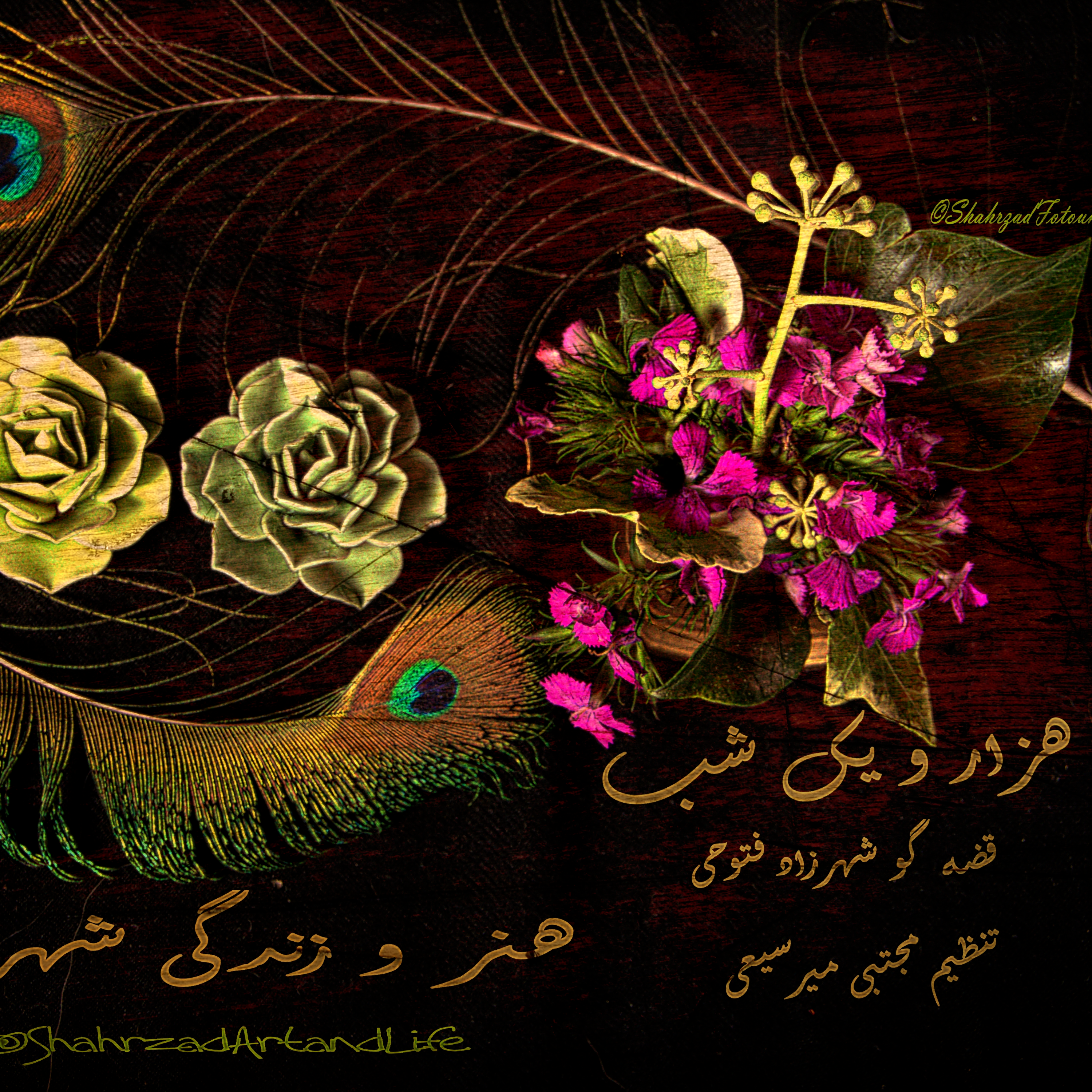 هزار و یک شب ۶۶۱ ششصد و شصت و یکم  قصه‌گو شهرزادفتوحی  هنر و زندگی شهرزاد episode artwork