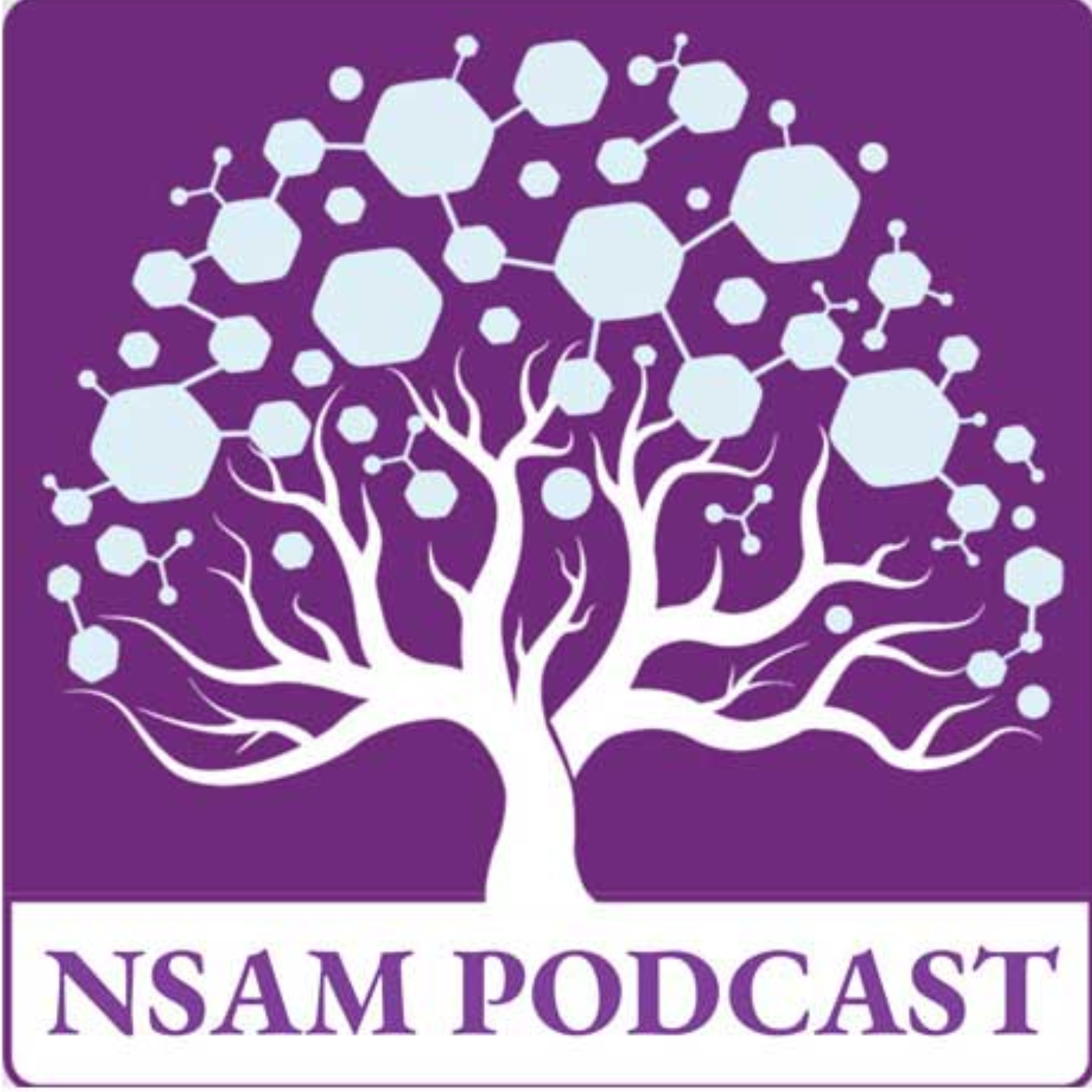 کاور Vol 2, Issue 3 🎧 Ep. 2. From Recycling to Design: Hydrometallurgy as a Foundation for Circular Nano