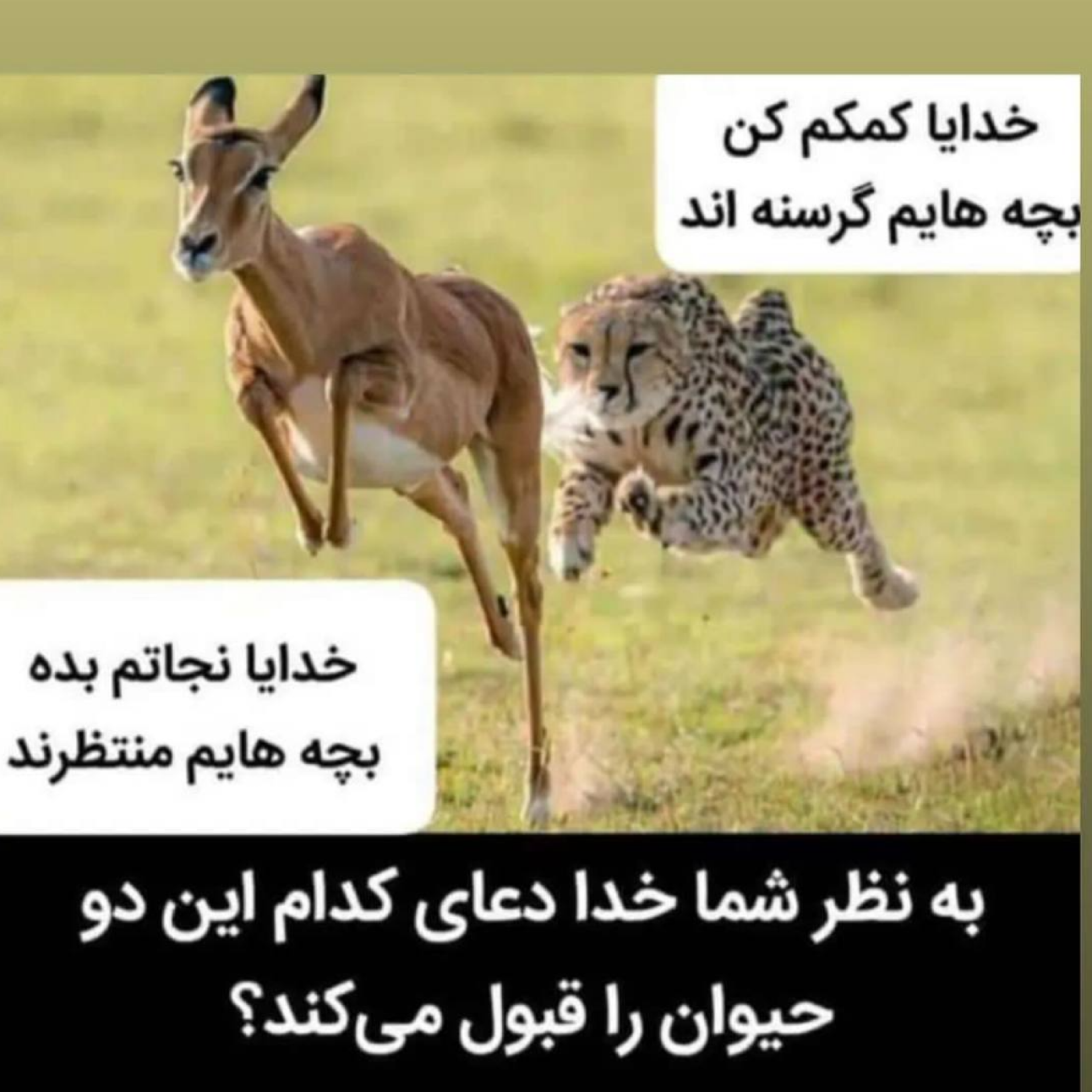 کاور چگونه خداوند به دعاهای ما پاسخ میدهد؟