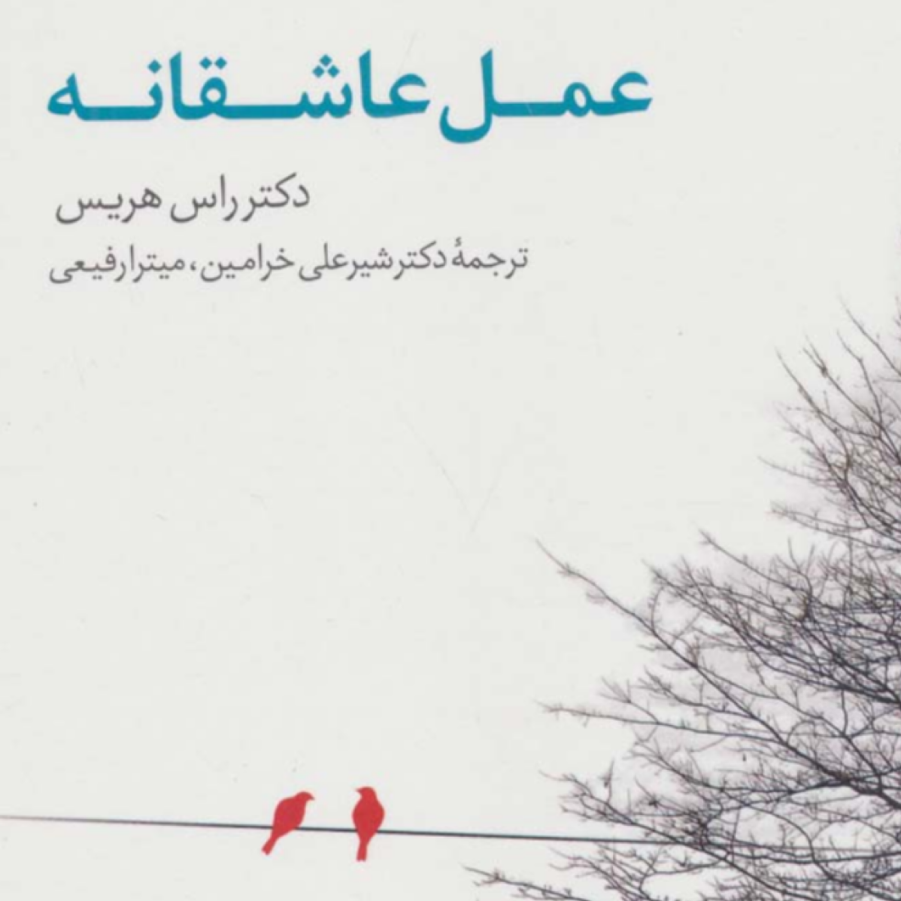 کاور اپیزود چهارم عمل عاشقانه