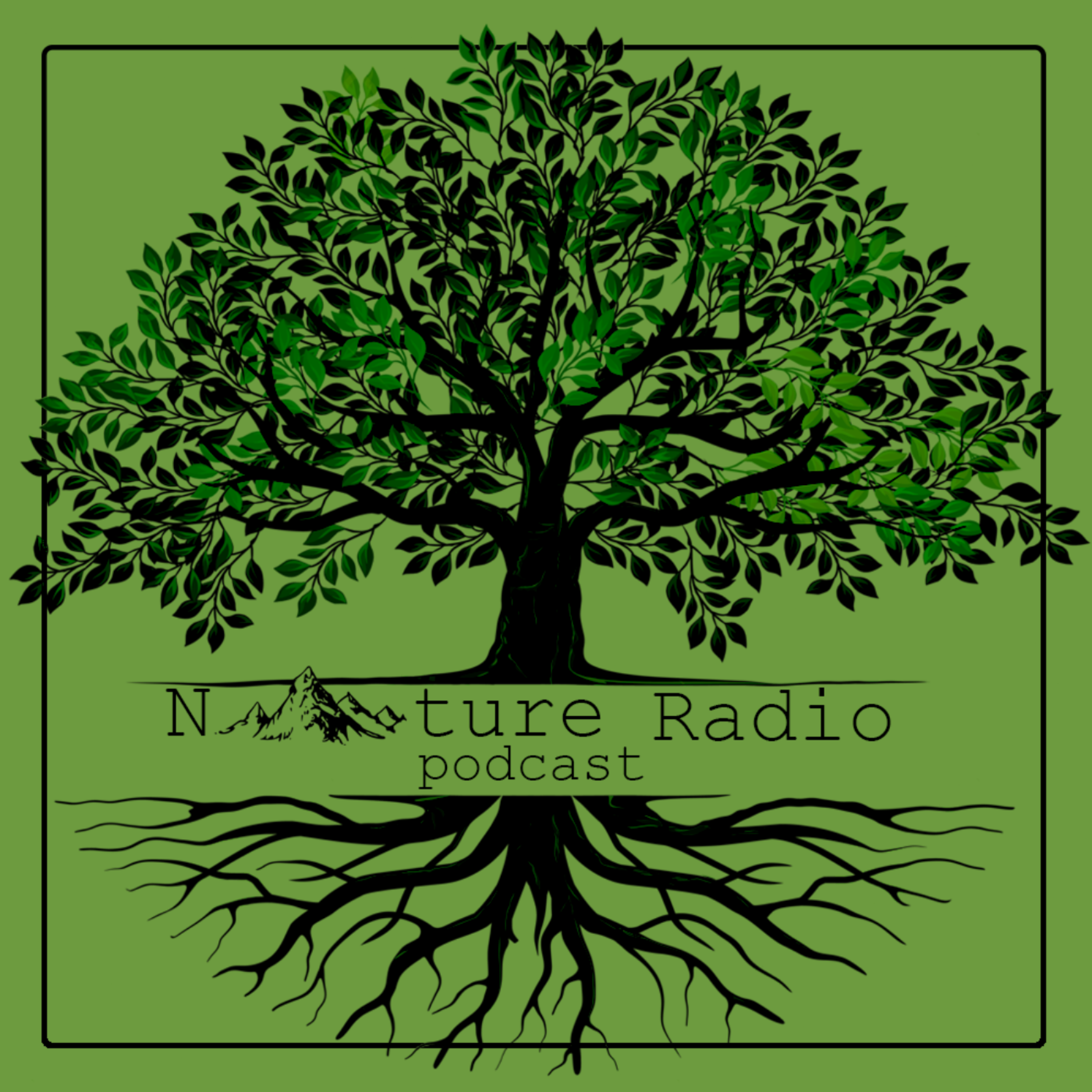 کاور Mother trees / درخت مادر - E02