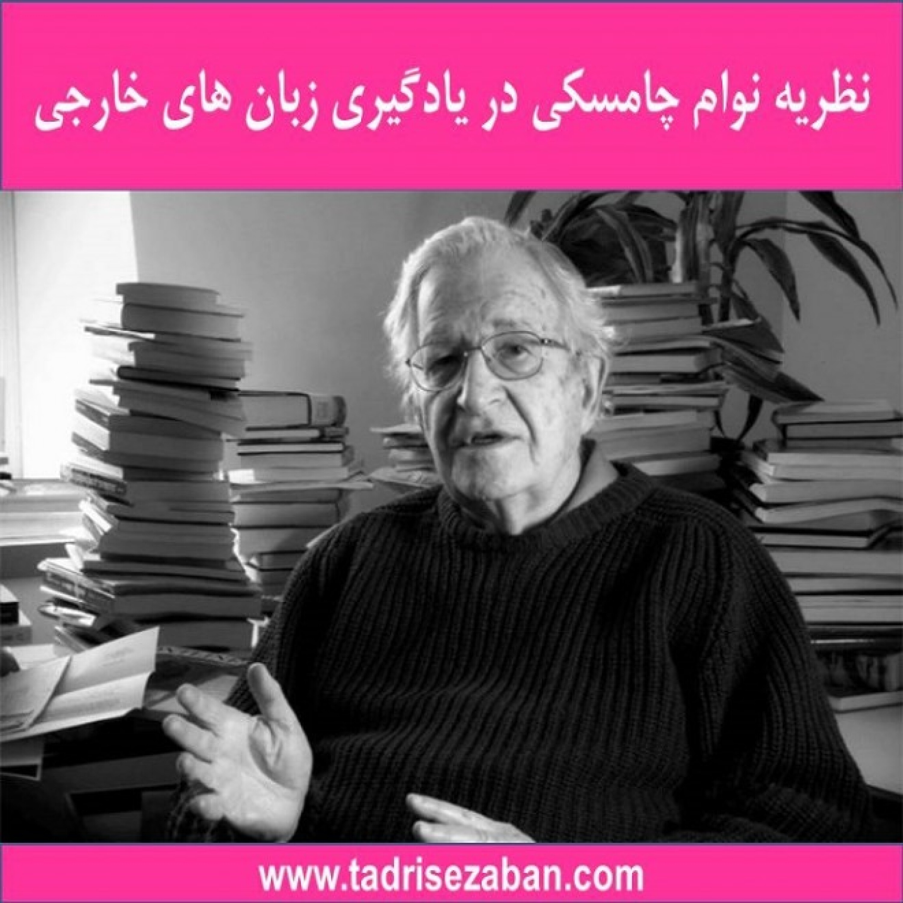 کاور نظریه نوام چامسکی در یادگیری زبان های خارجی